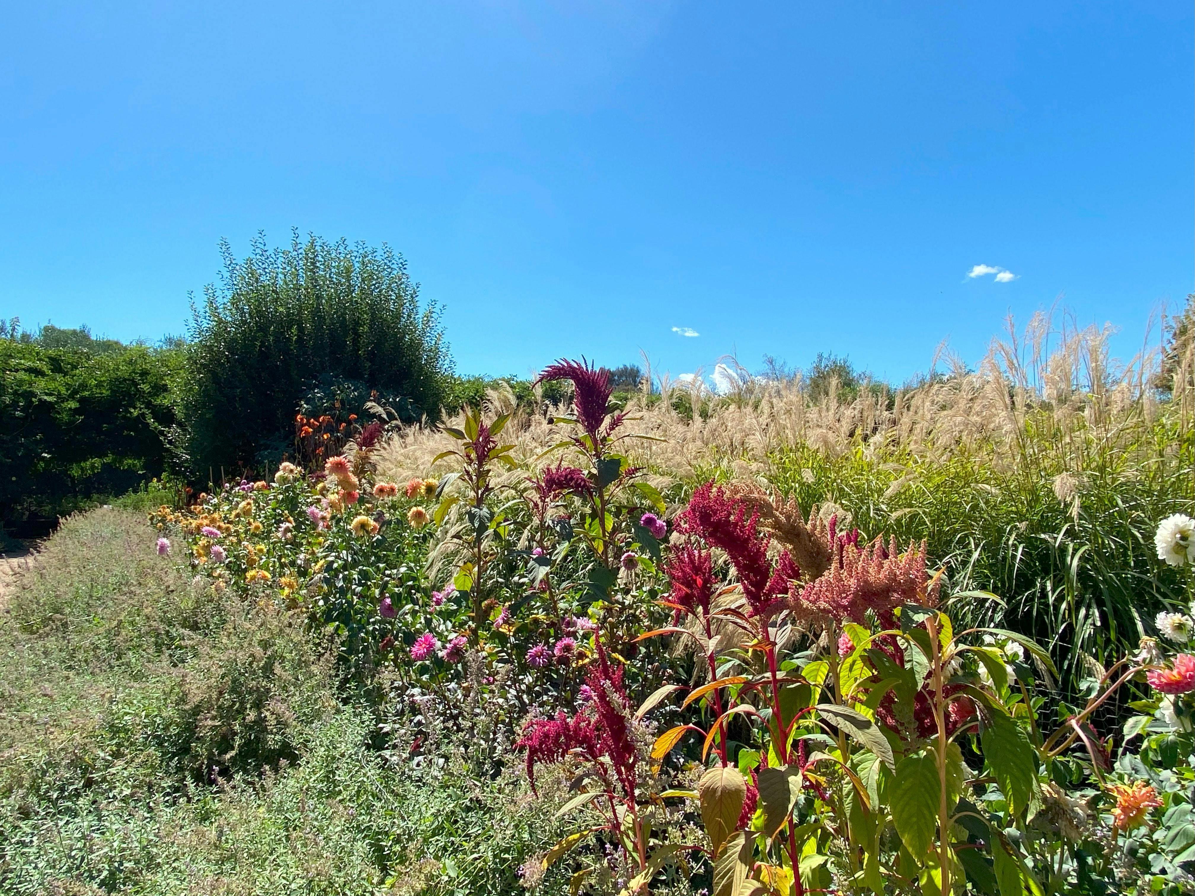 4Bdb086Ebd9D955806B1B64571293480