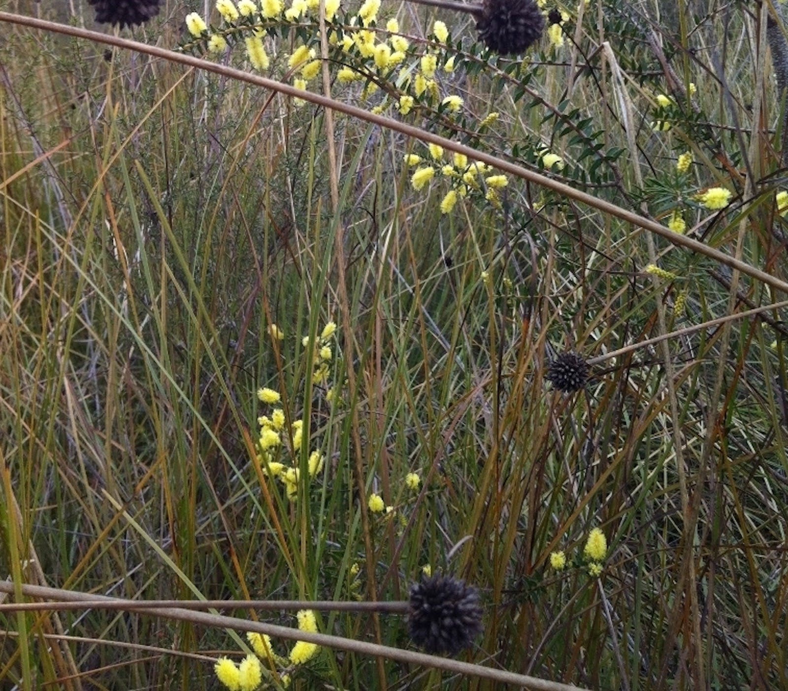 4C3653766E903C4763D425571826Ee90