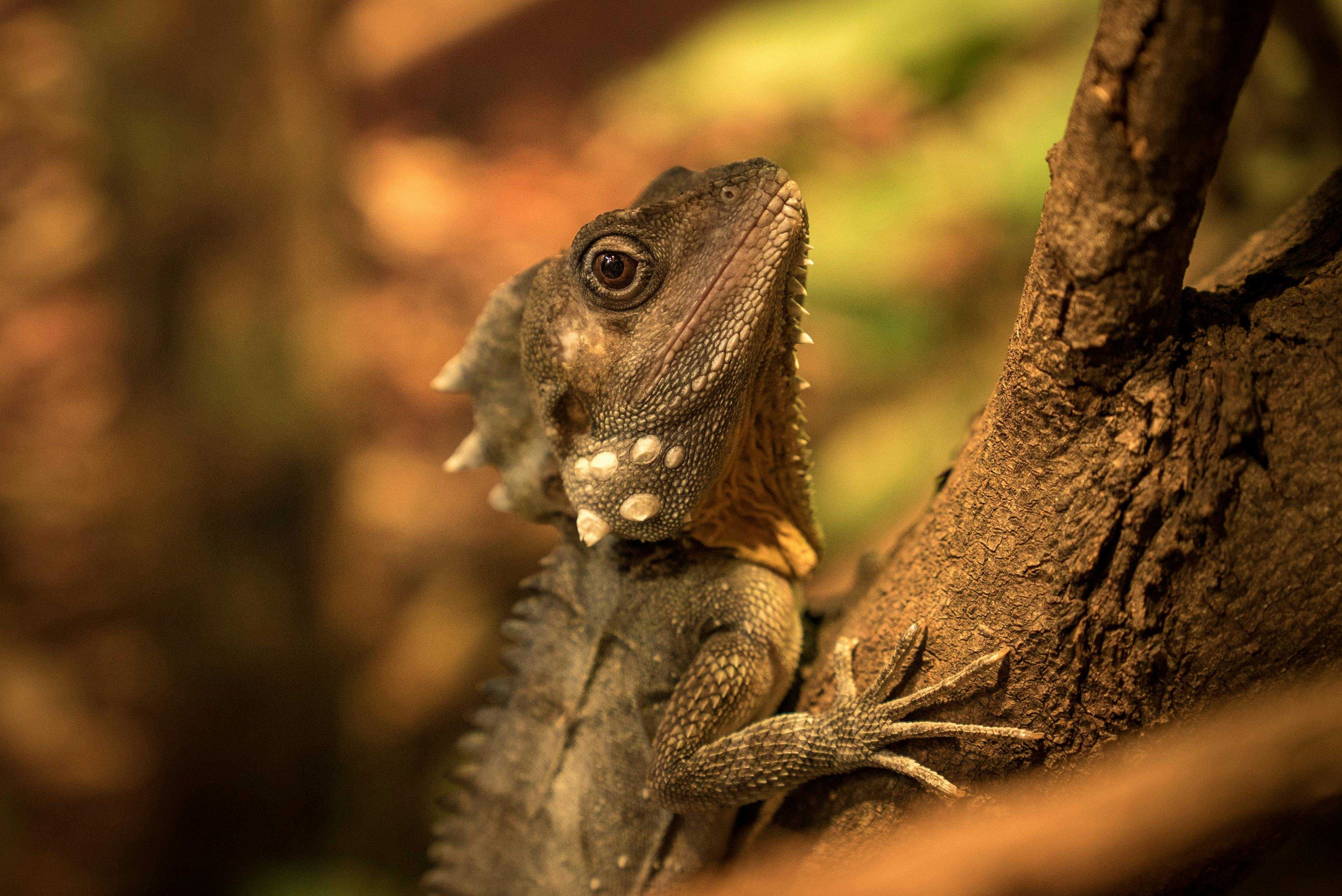 4Eec11Bf734Ee55F2338Cccffb5A26A4