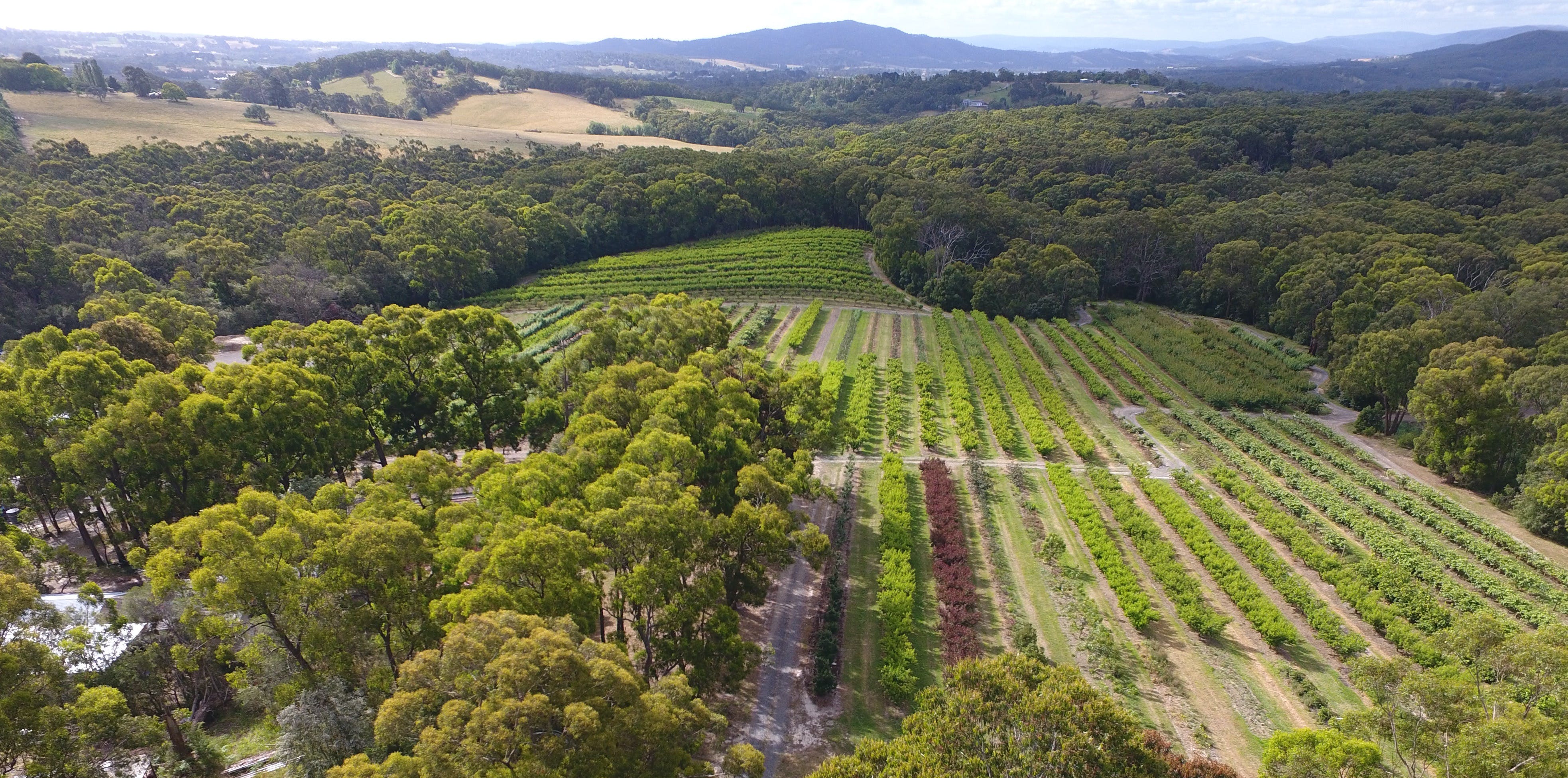 515Dca3Eceb44796740A8Ef556Df8D67