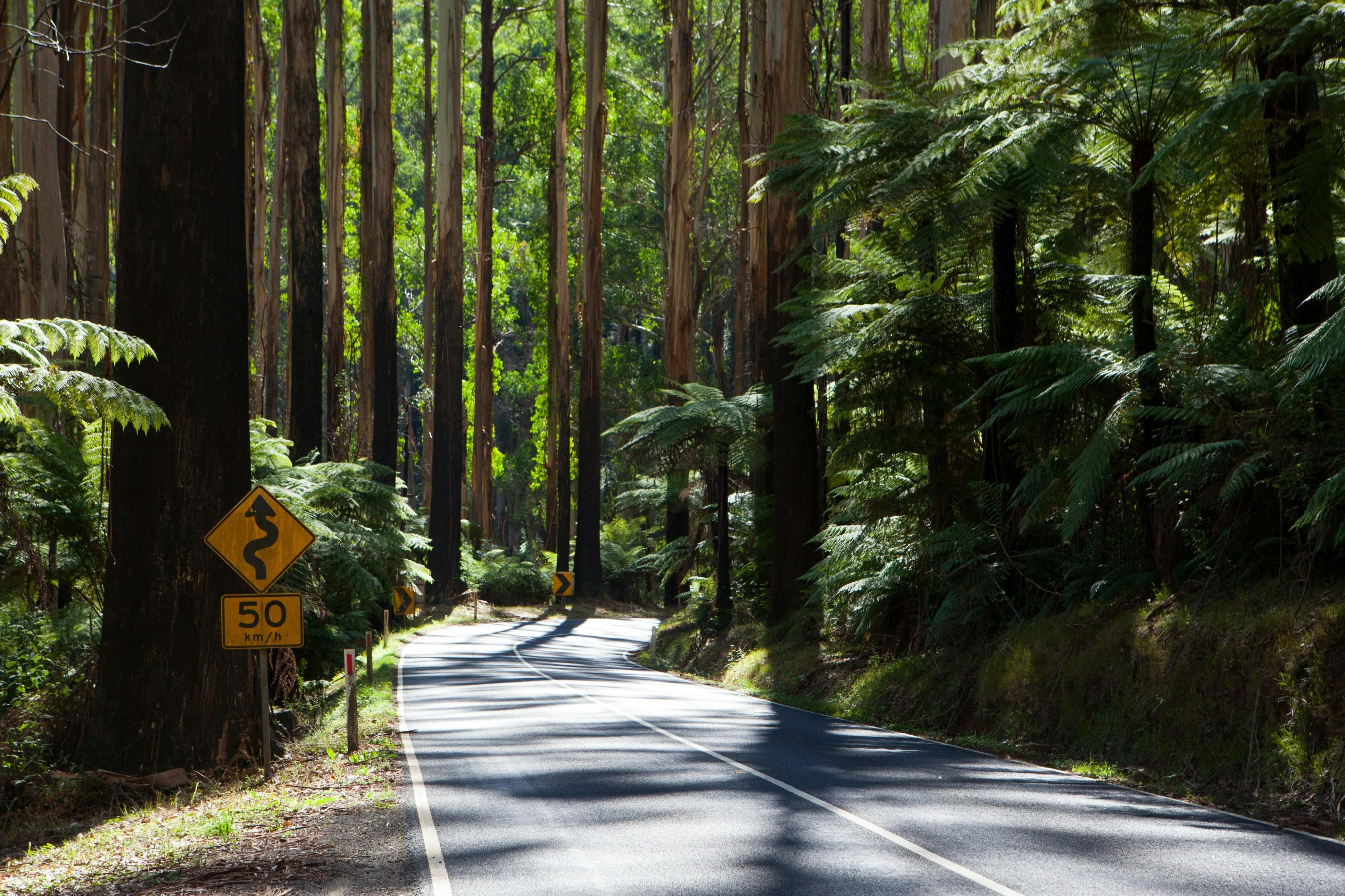 549Ccc4838A20974E70Ebd39A6F7416B