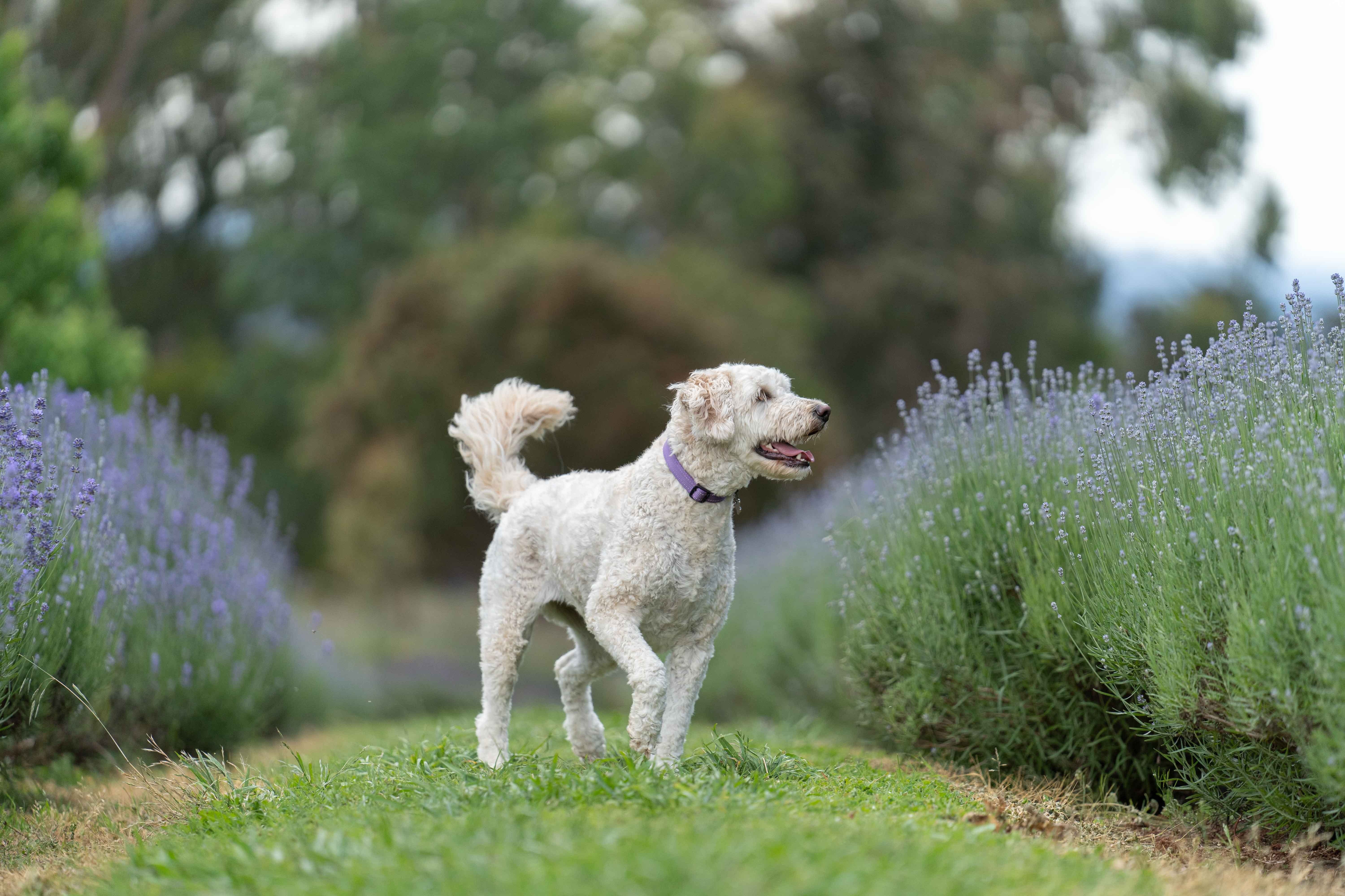 54B5810880671D42074Ad8E53Fd4C680