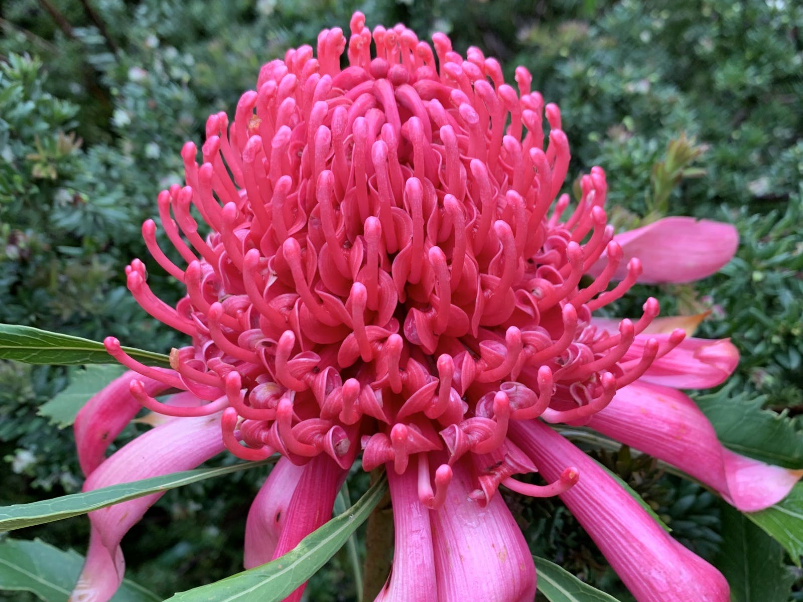 554Dfa7Bceef7Adb336D89652Ded8C5B