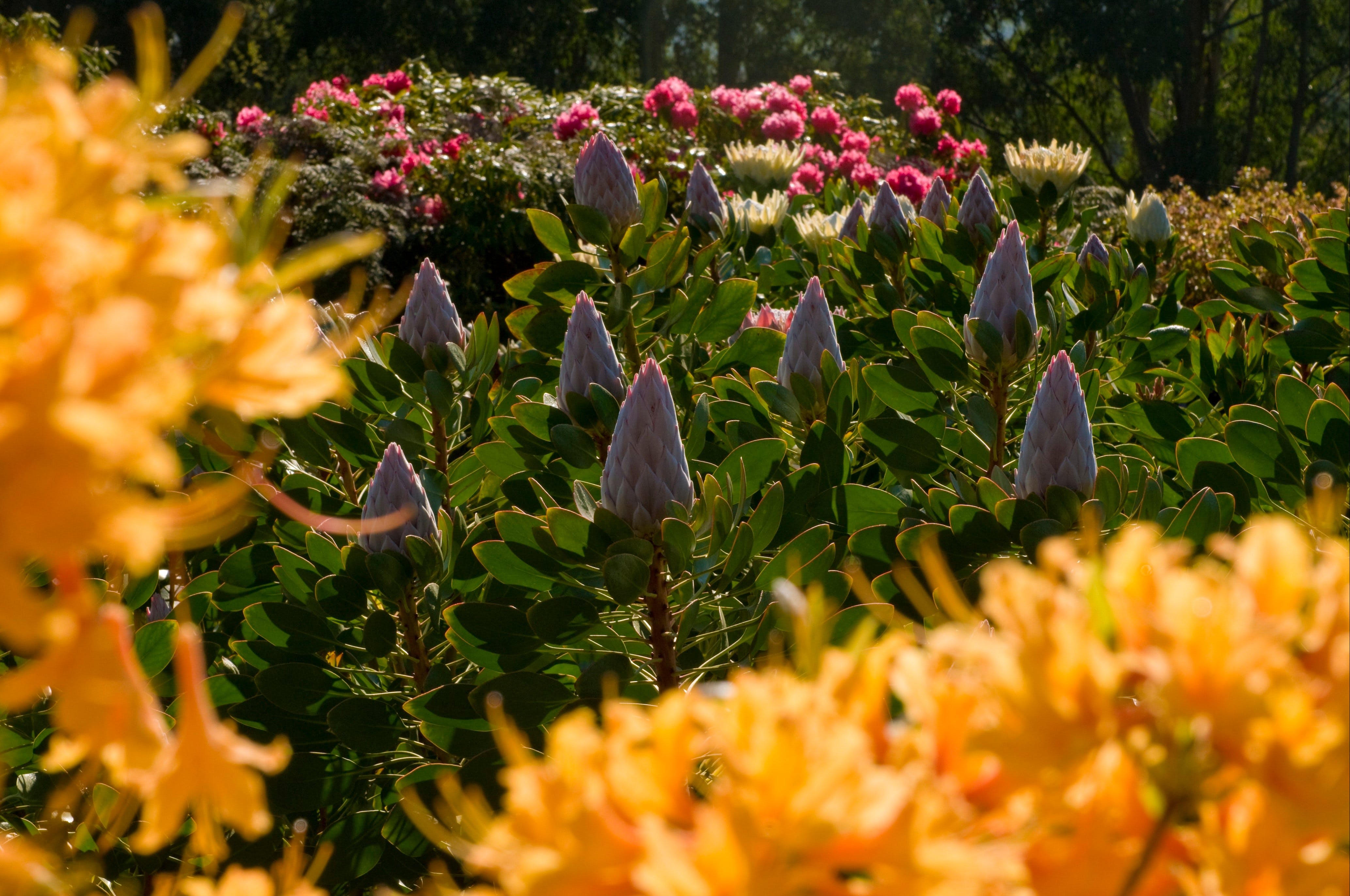 55A16Ce0310Ac6E06179Da0468067E53