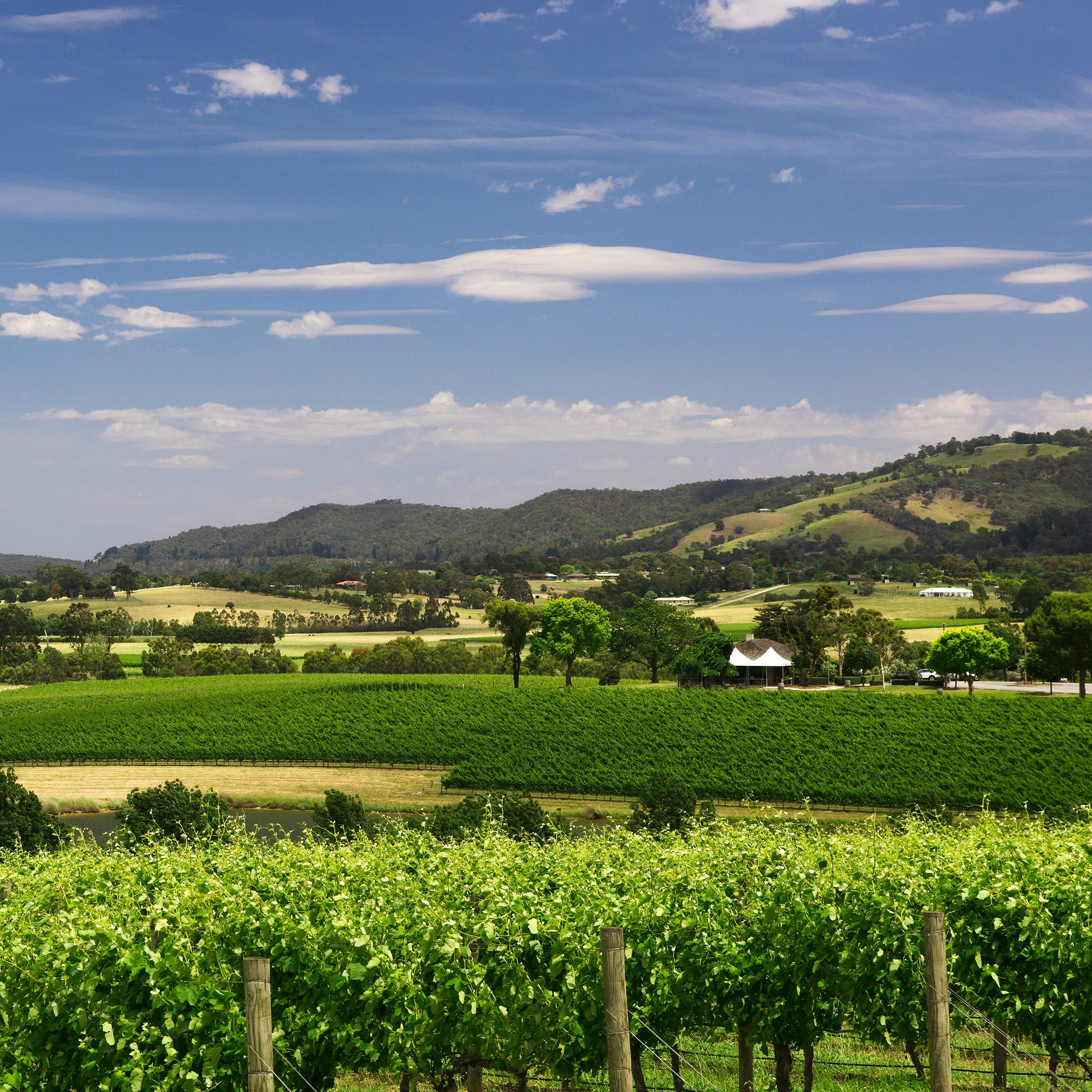 58656A7B910E5Aaaba3356Bf38987443