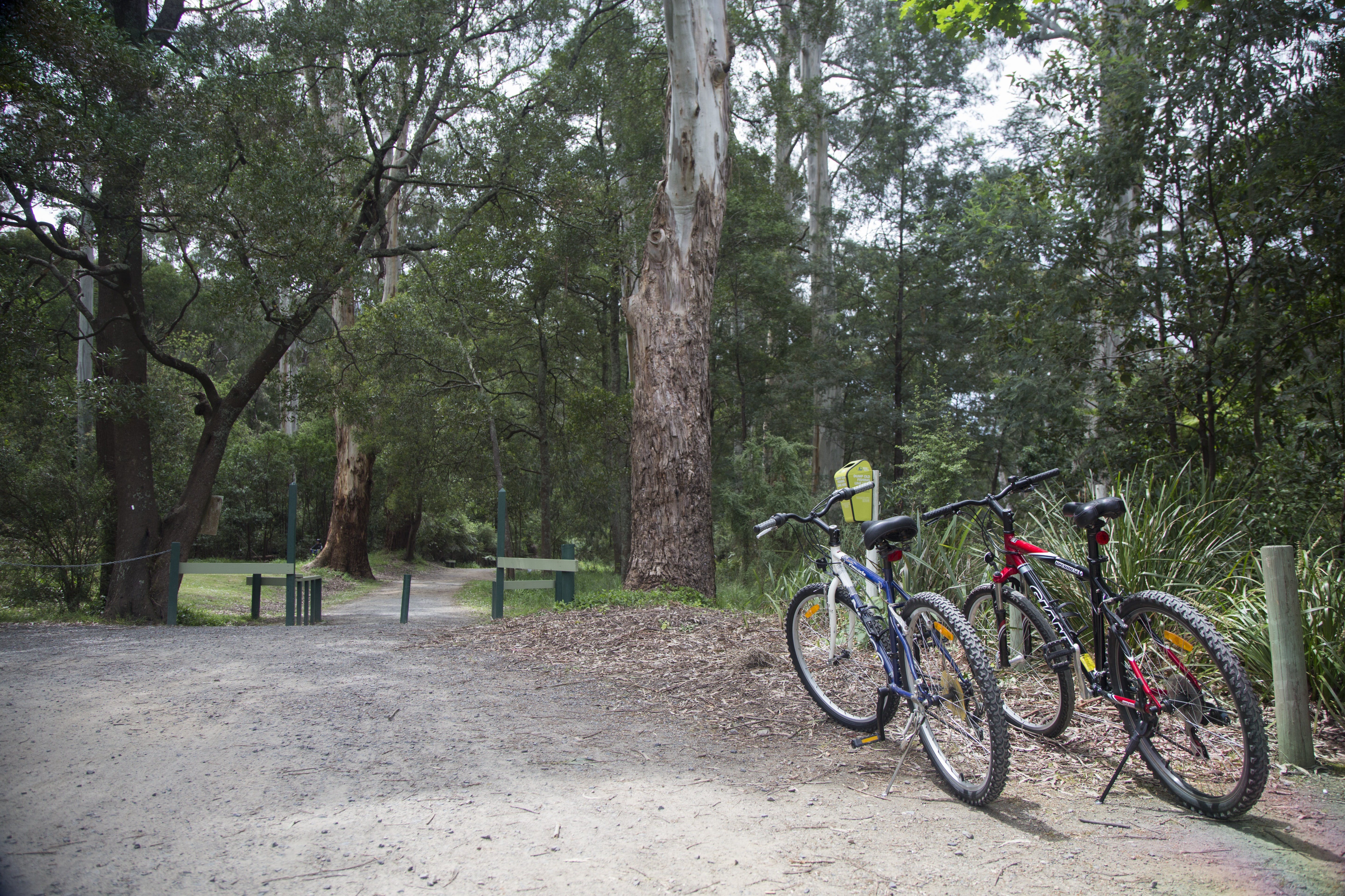 5Afdab90Af876Fb5B4664380Ed6B175E