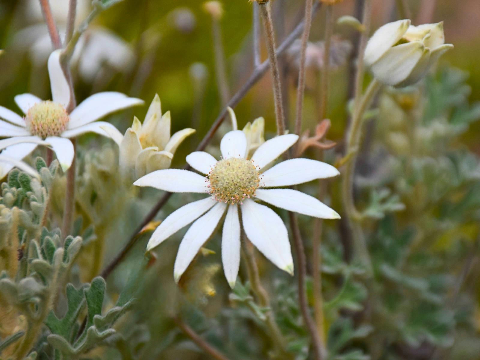 5B01Af5Cba1F040B801A8Aee6Eda7A65