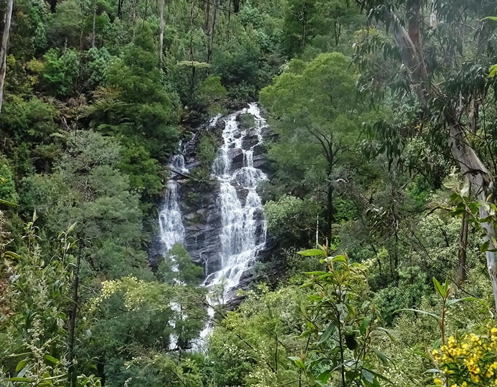 5B7B0619B6192E6206C417A2Cfd354C1