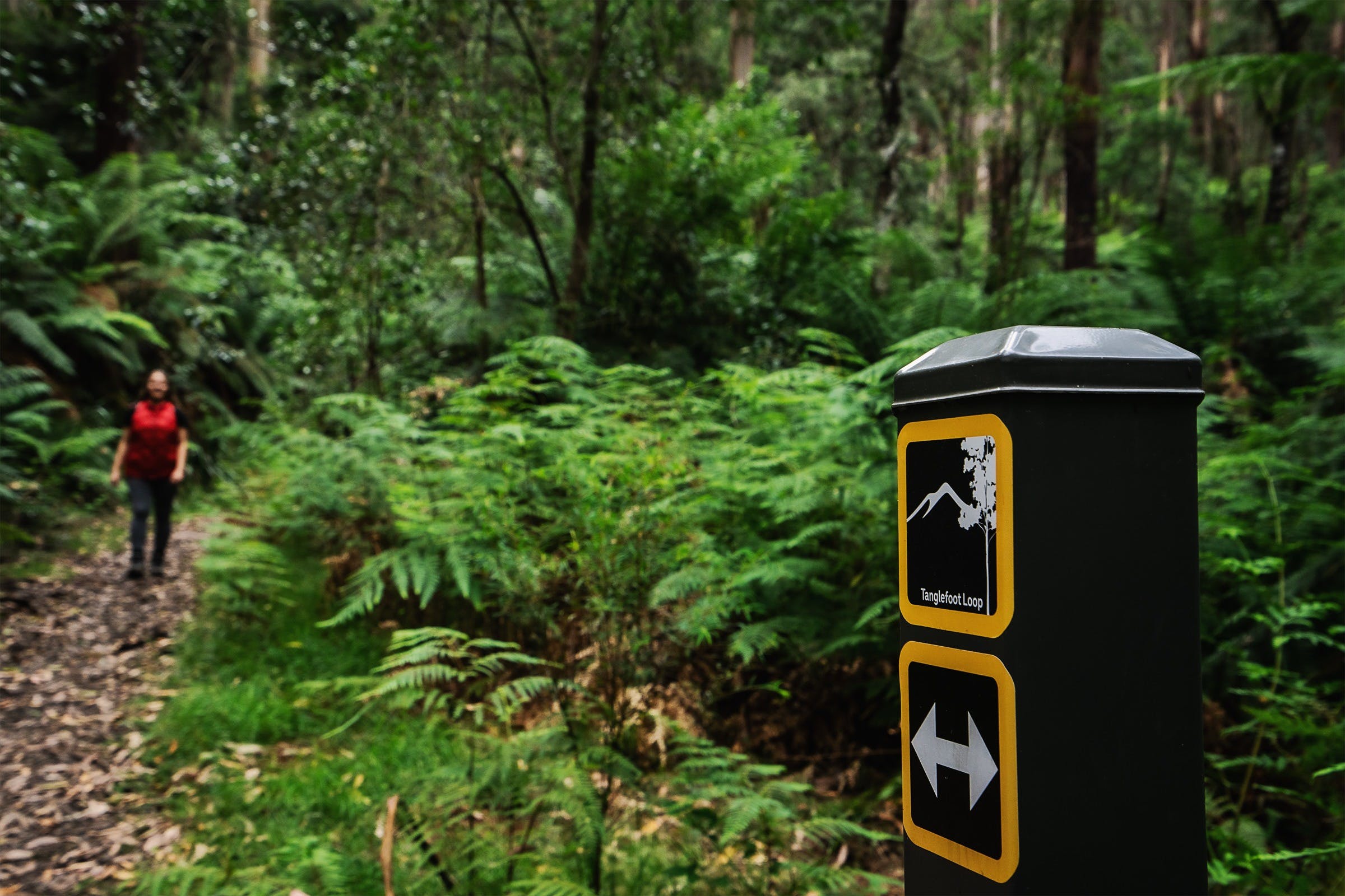 5Be8Fed53974402Af79Ea92Adfb9836D