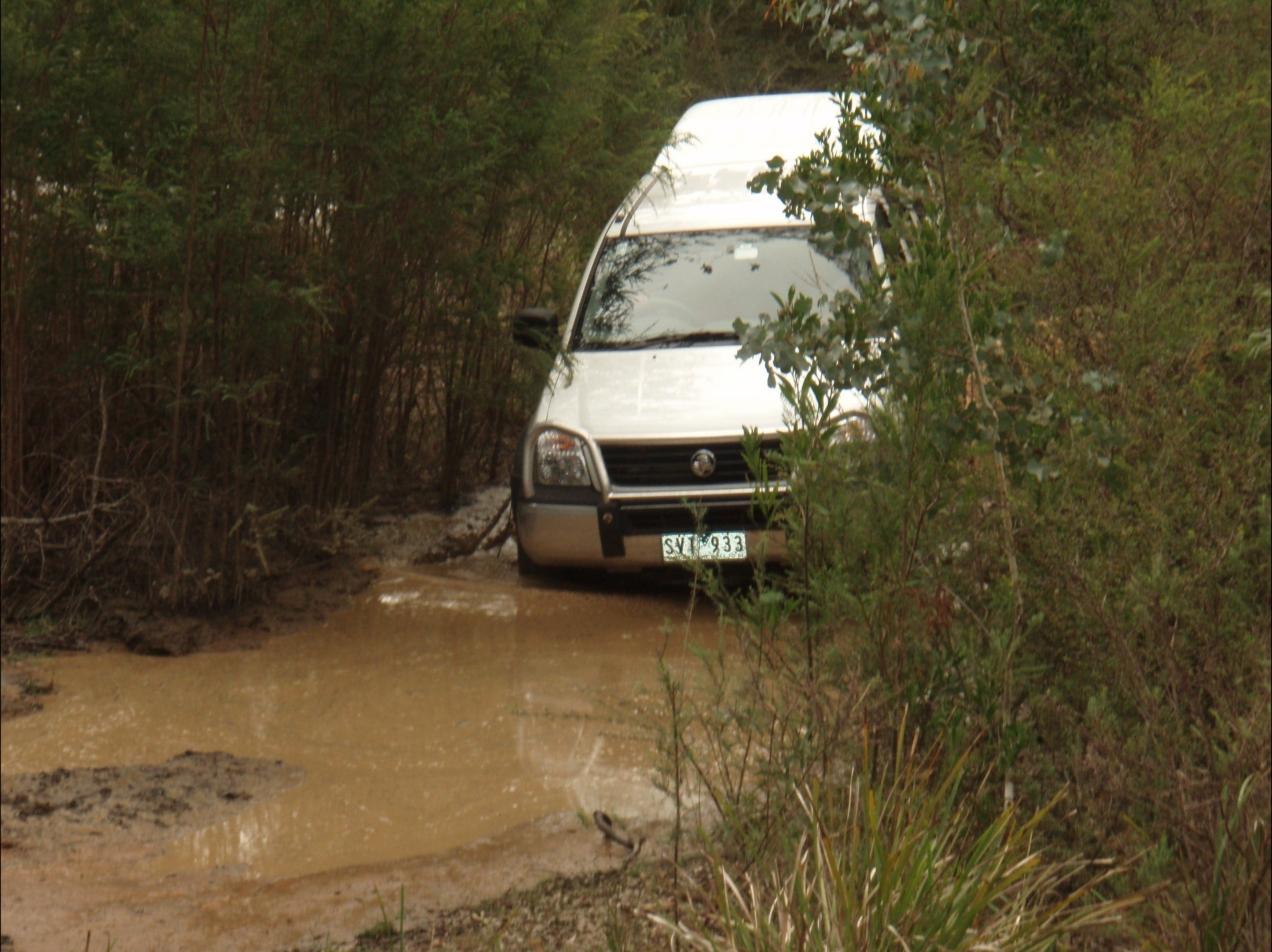 5C74D687E66C6111Fced83130C0C4790