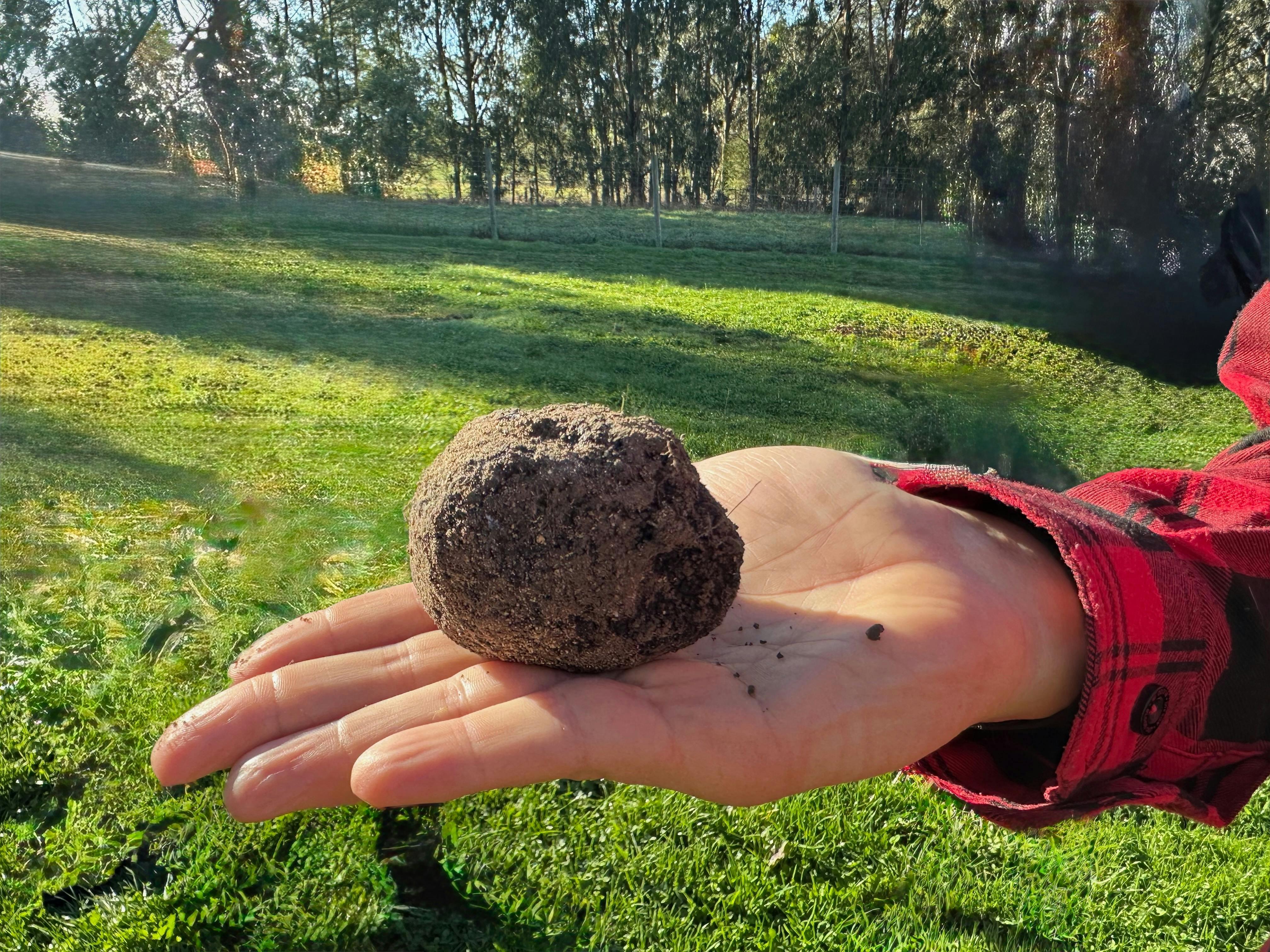 5F63611461D313631Aa6Aedd286Fa509