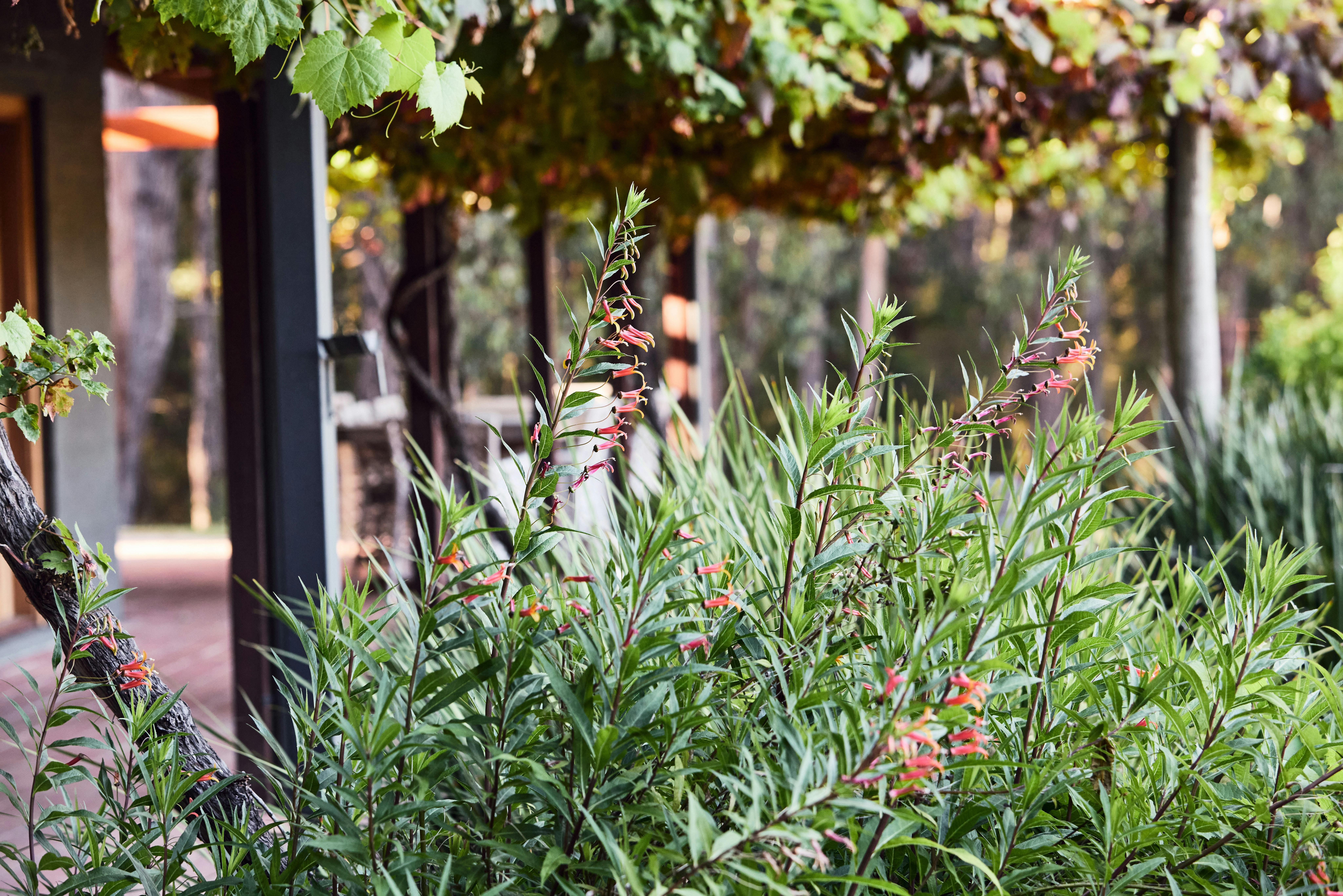 601039D10Dd56Da9B5E9A83095Dbce22