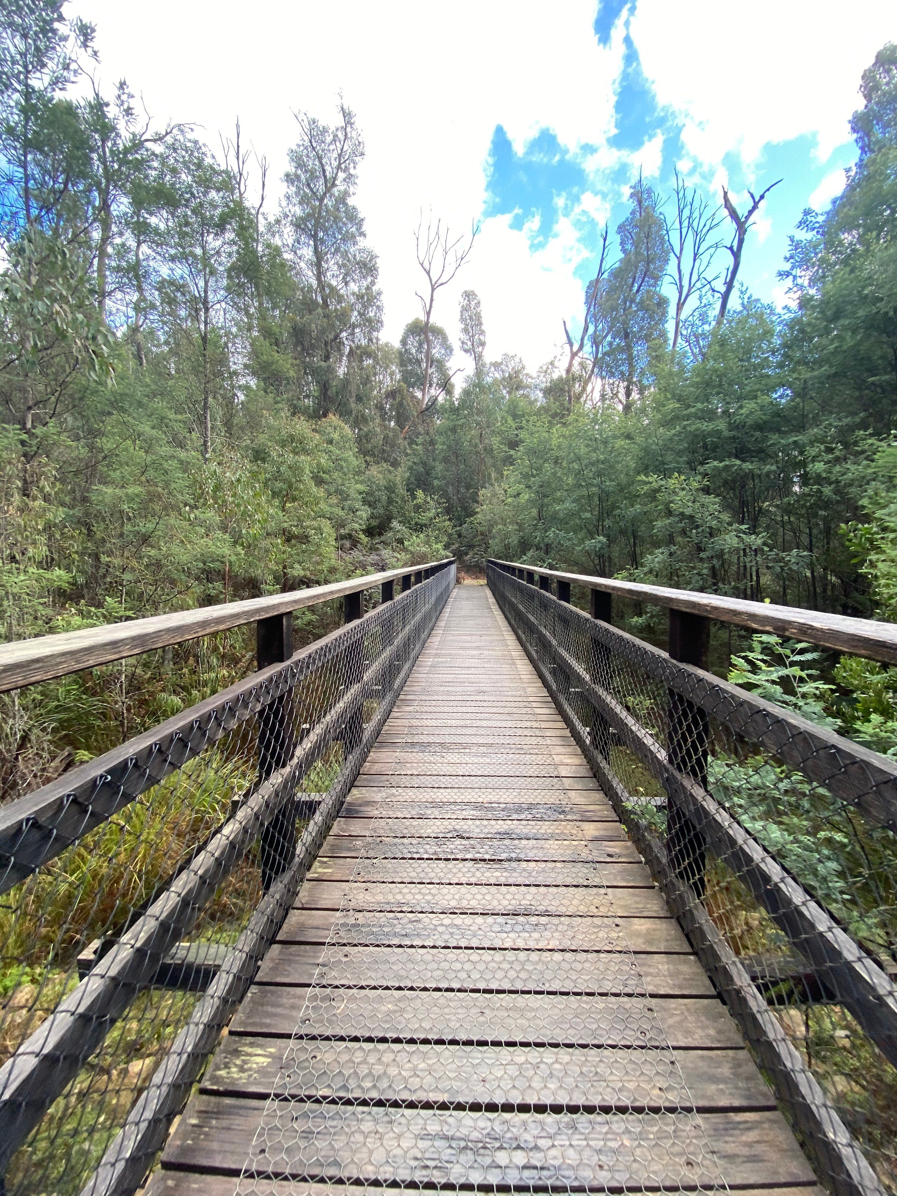 6208Bf4C2288Eb4Dafb2D4F4Bf27F874