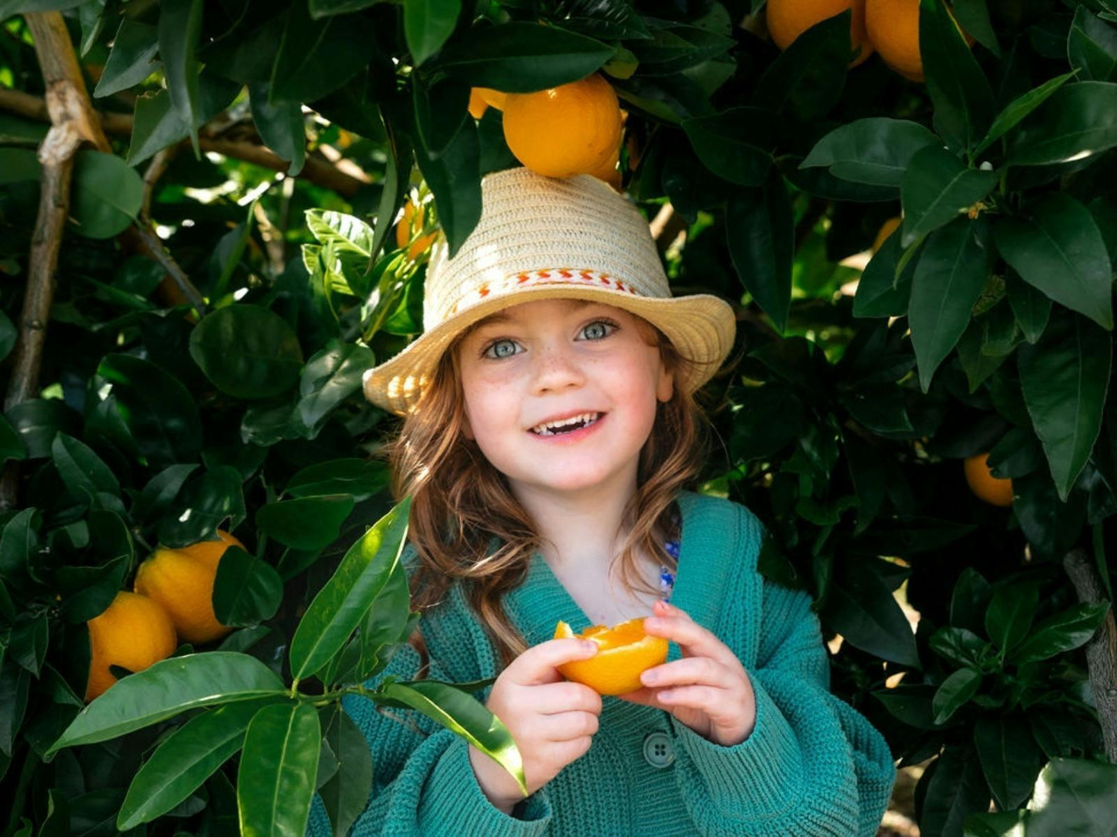 62A0692A5Dfed91Fcb9Fa27F355Ece4E