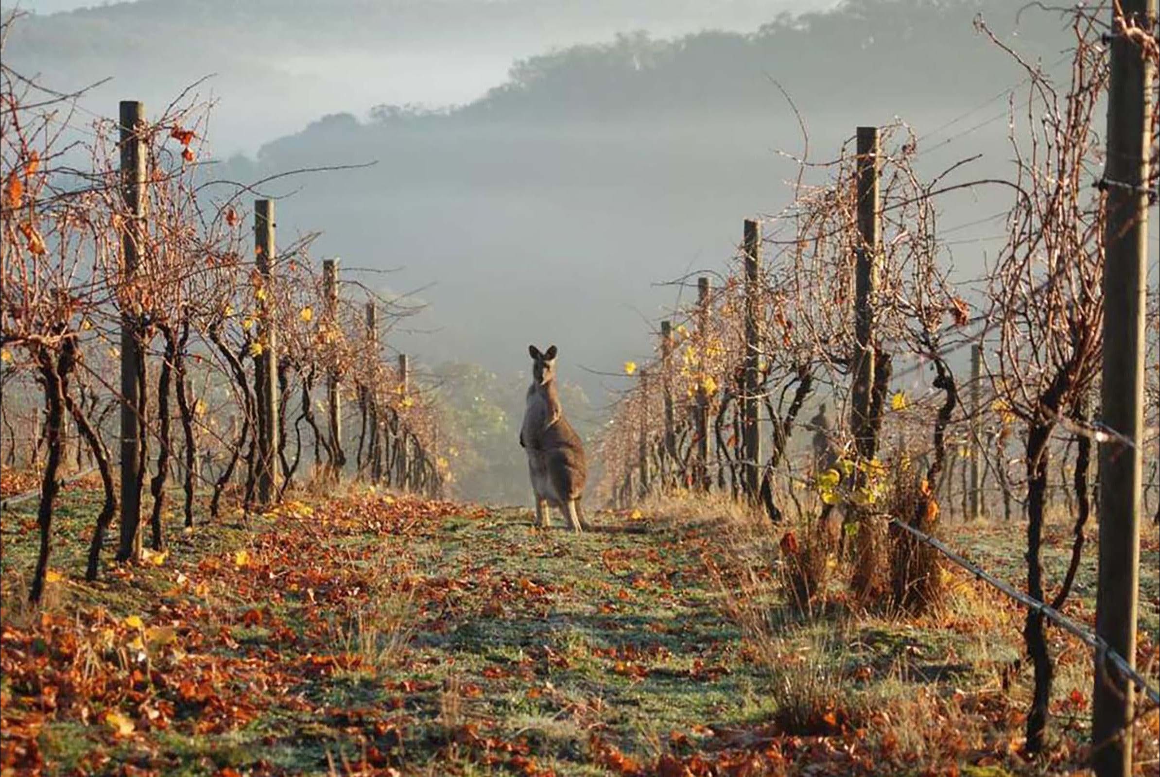 638501C5D9042B669Bc30D84670E83Ba