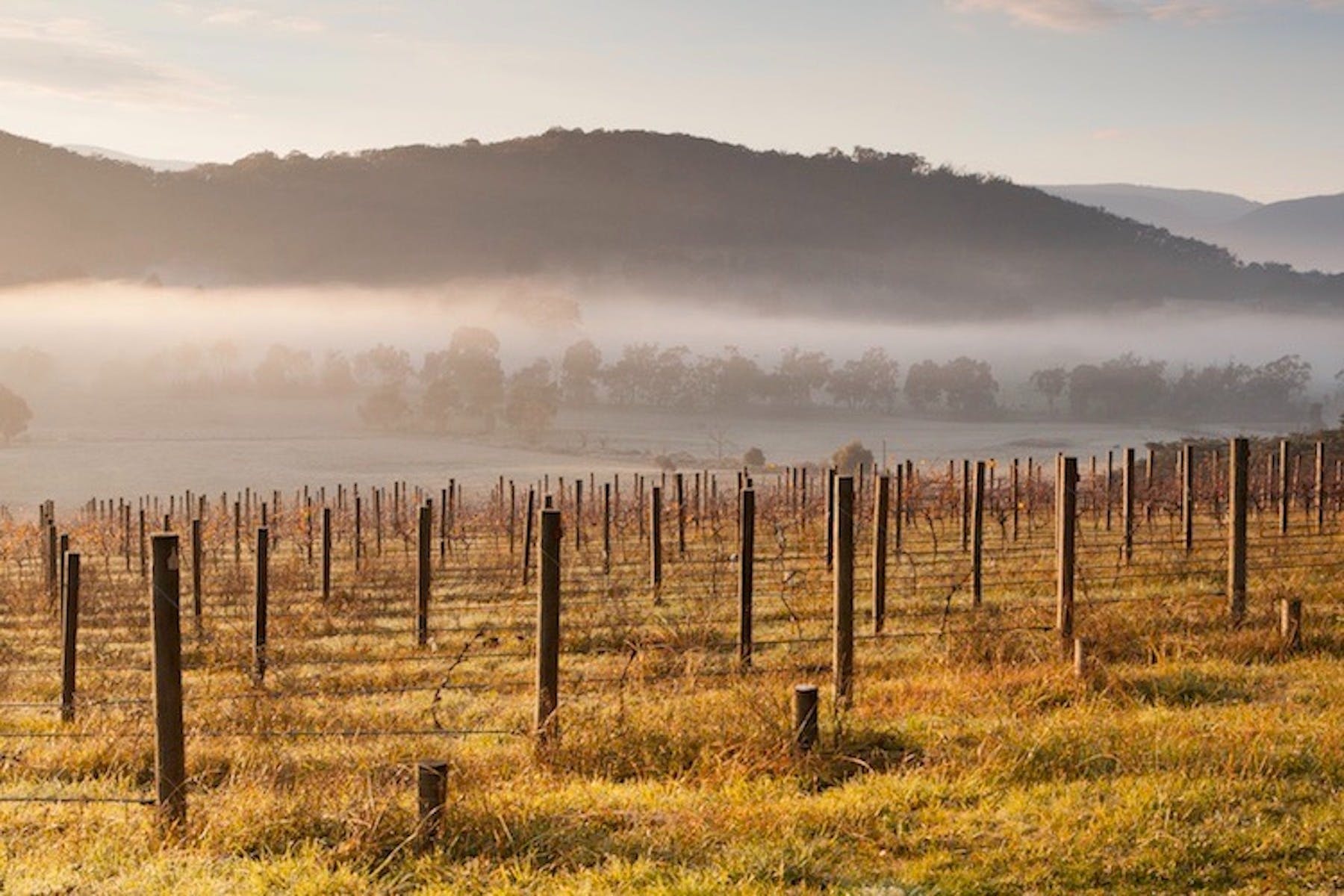 64D288A039D16Baa059A74225F202Aa8