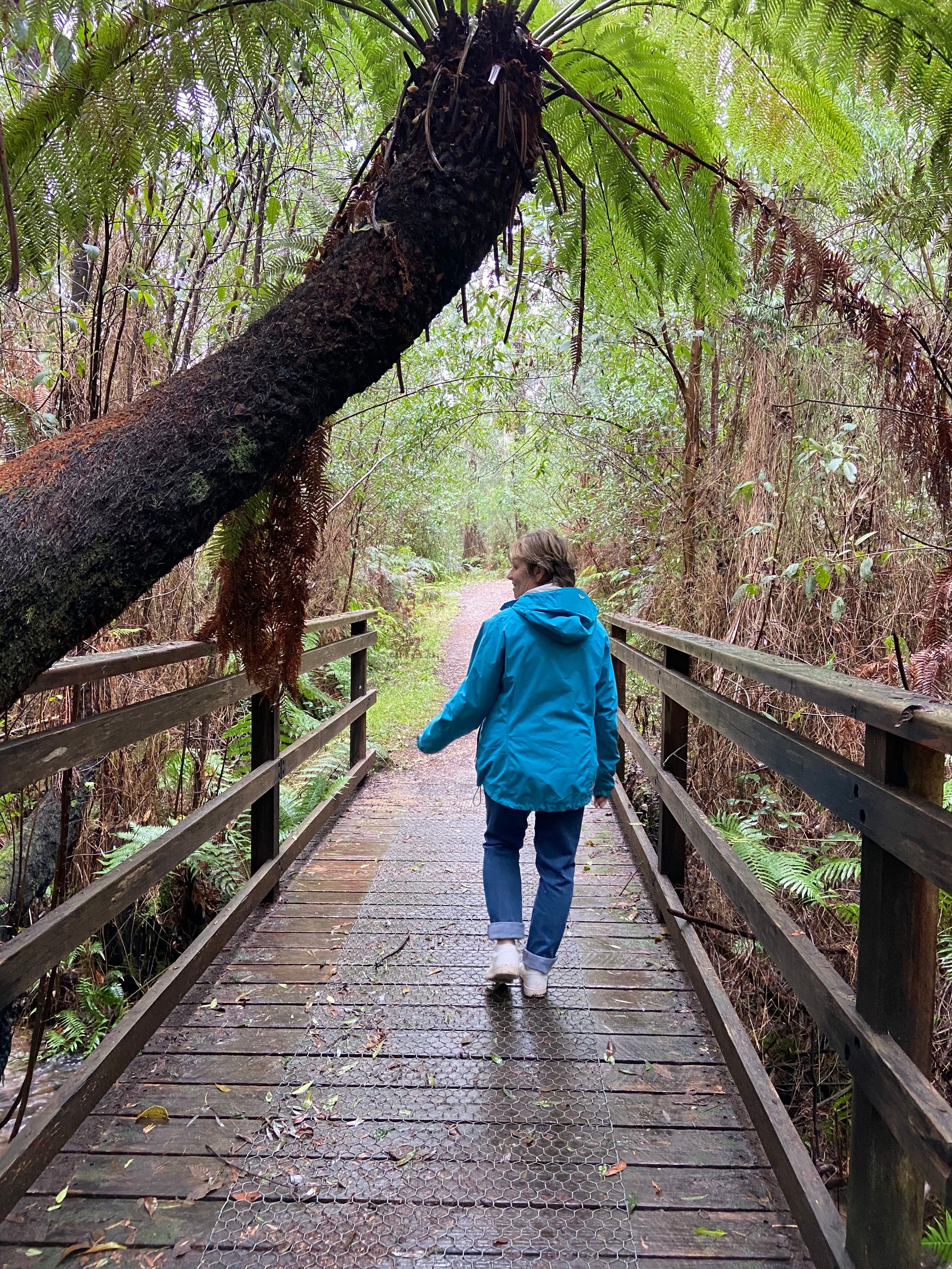 64E127F709E6018D371D6Effbe09E989