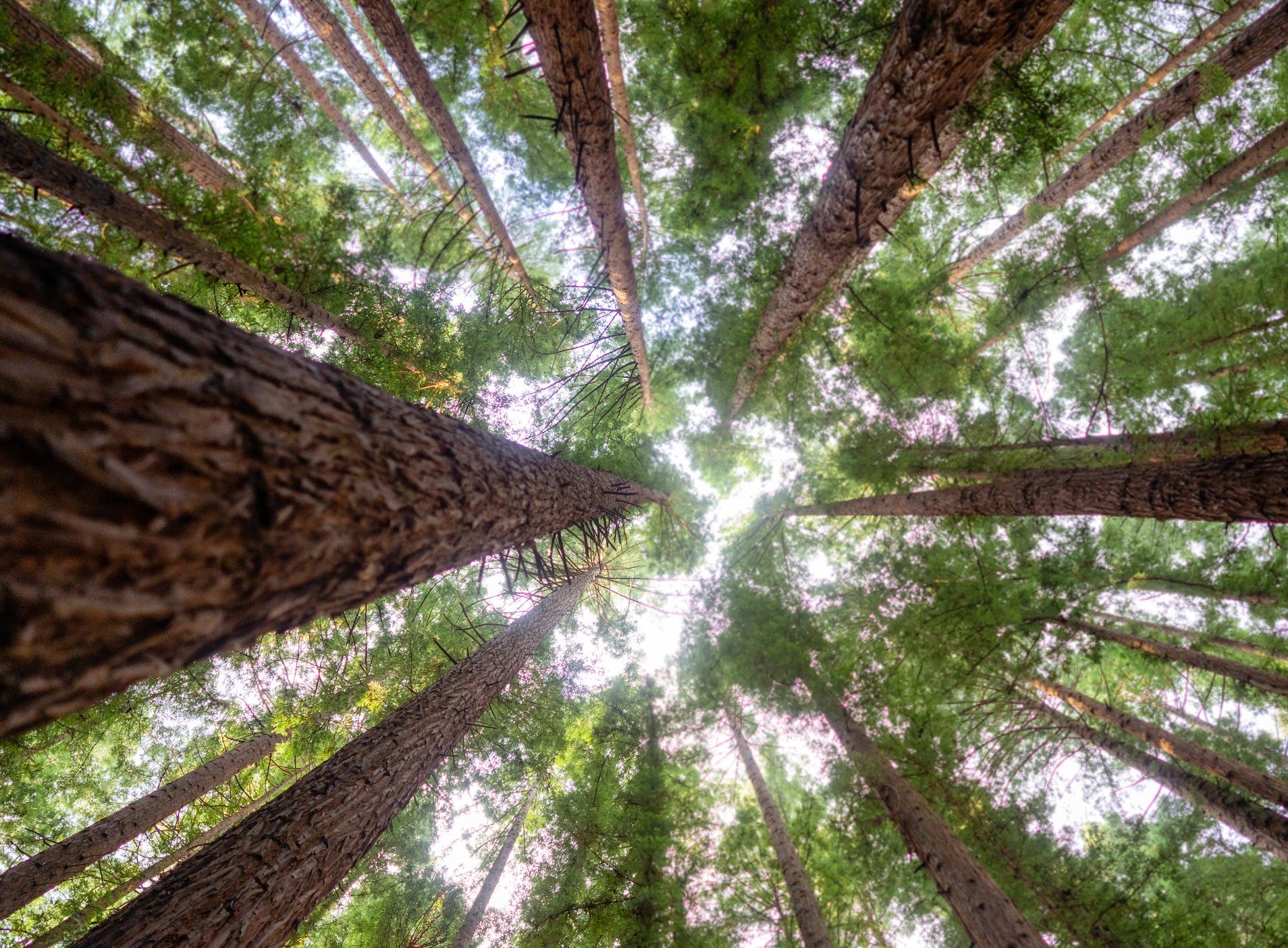 655E4Ea2Ba0636D582A6412C59F121C1