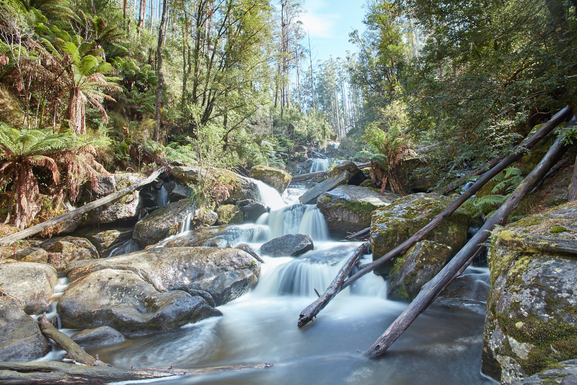 65F5Ea1F95C4A46Be7Fd6Dbbc03821Cc