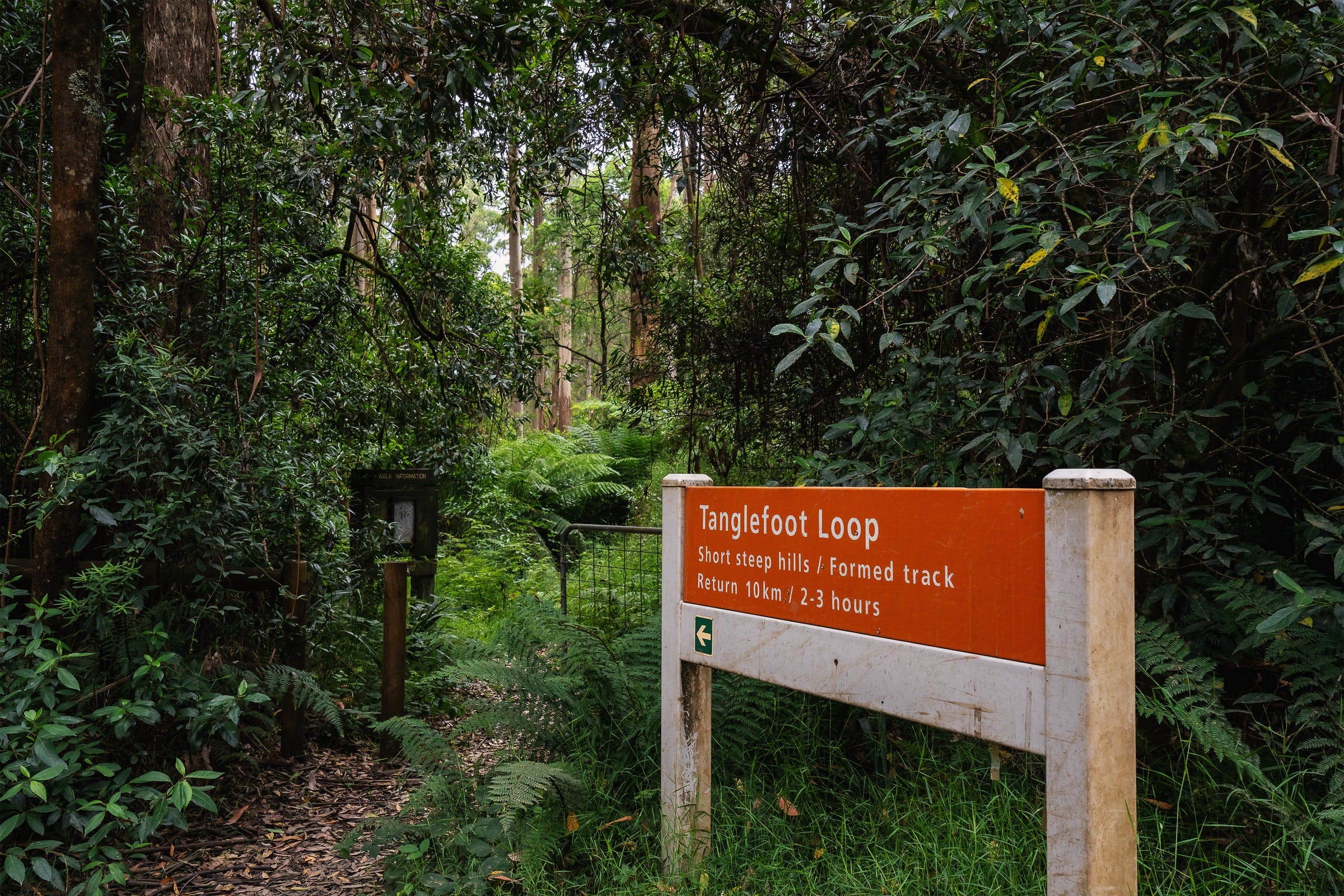 665F50674A1Feab6240E6D80Da6Bad7C