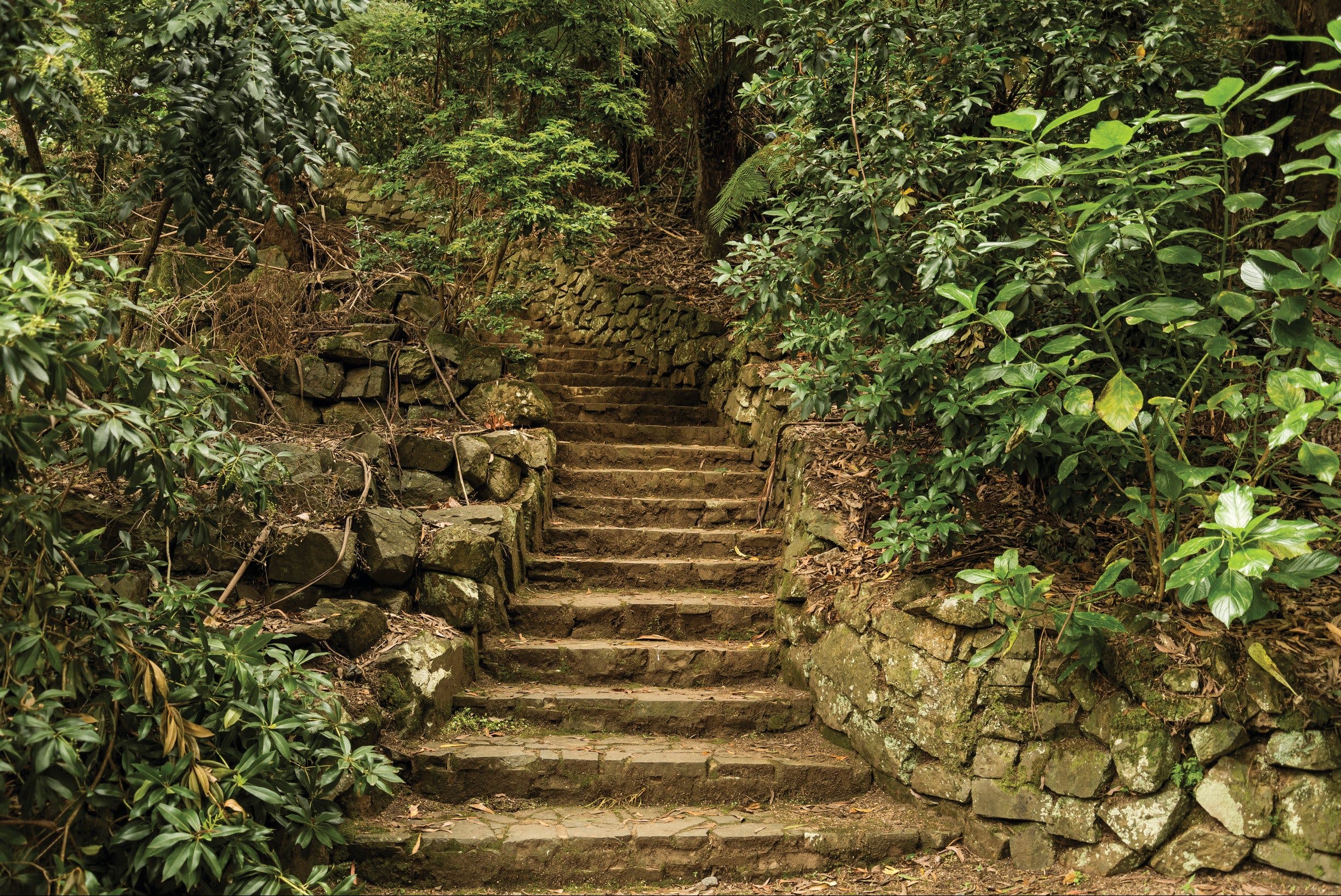 6713E4A9Edf1C123Cc13Cc3633Ae28Fb