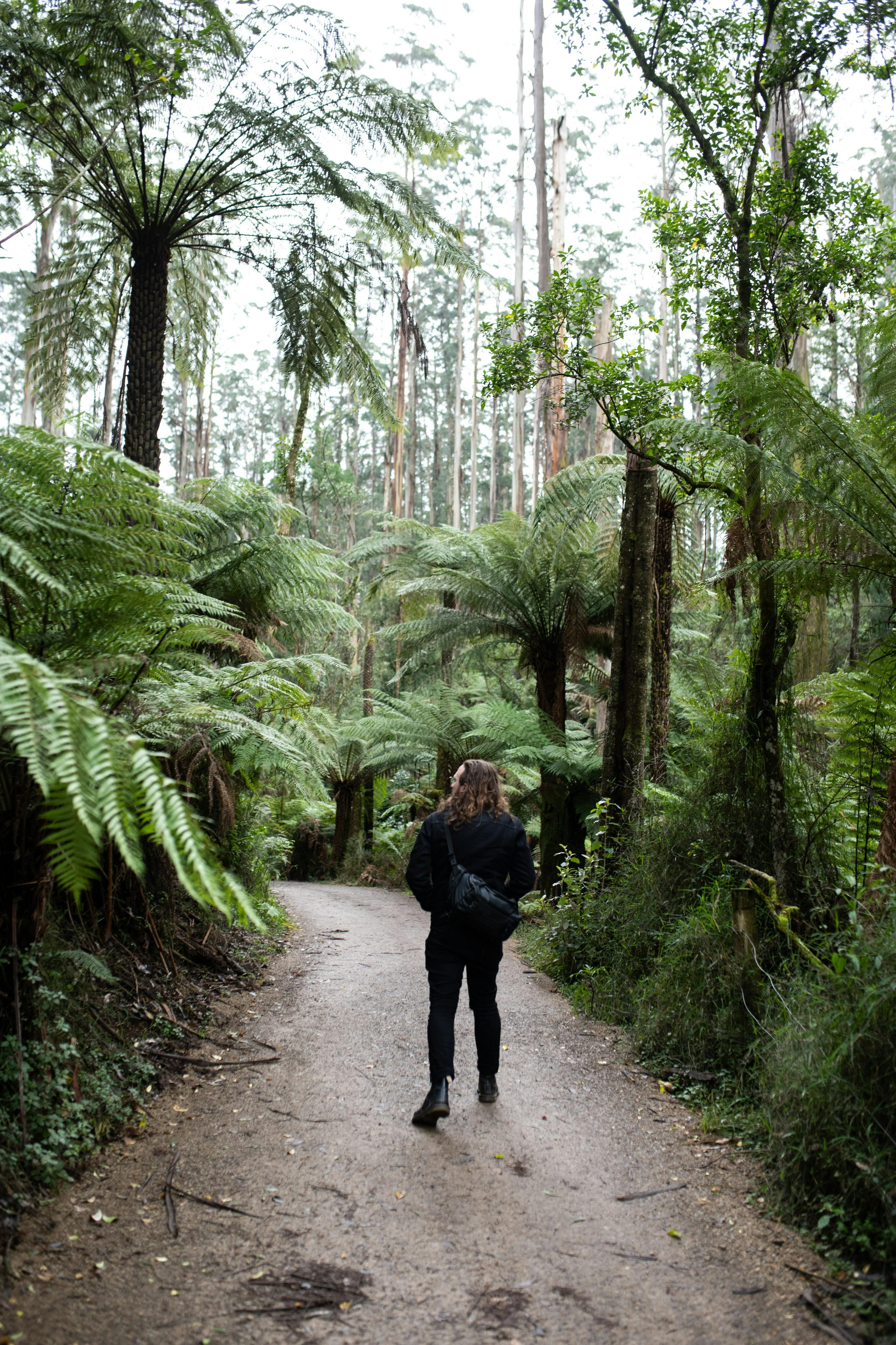 685Cc2Ad46202D463F7B9Daa7Ebbba78