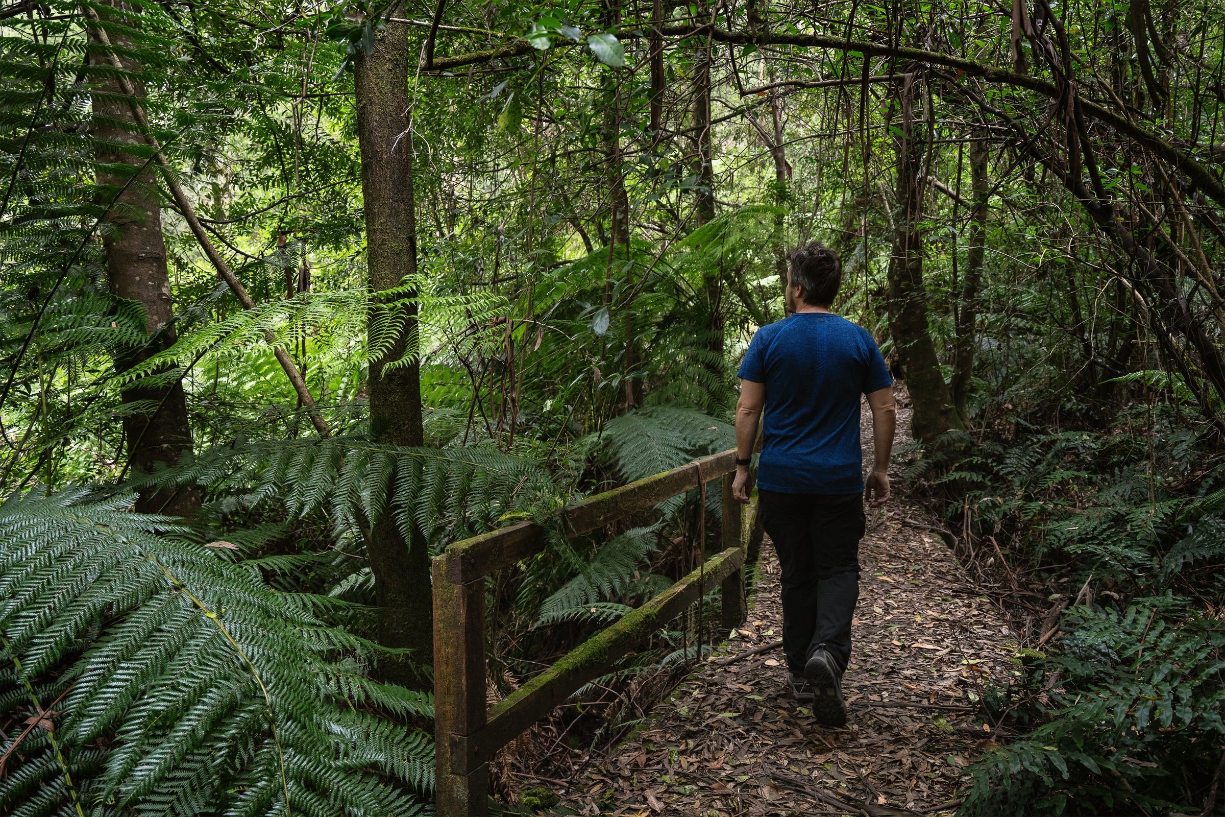 69A950C724C1Fd3701Adc2823884B11C