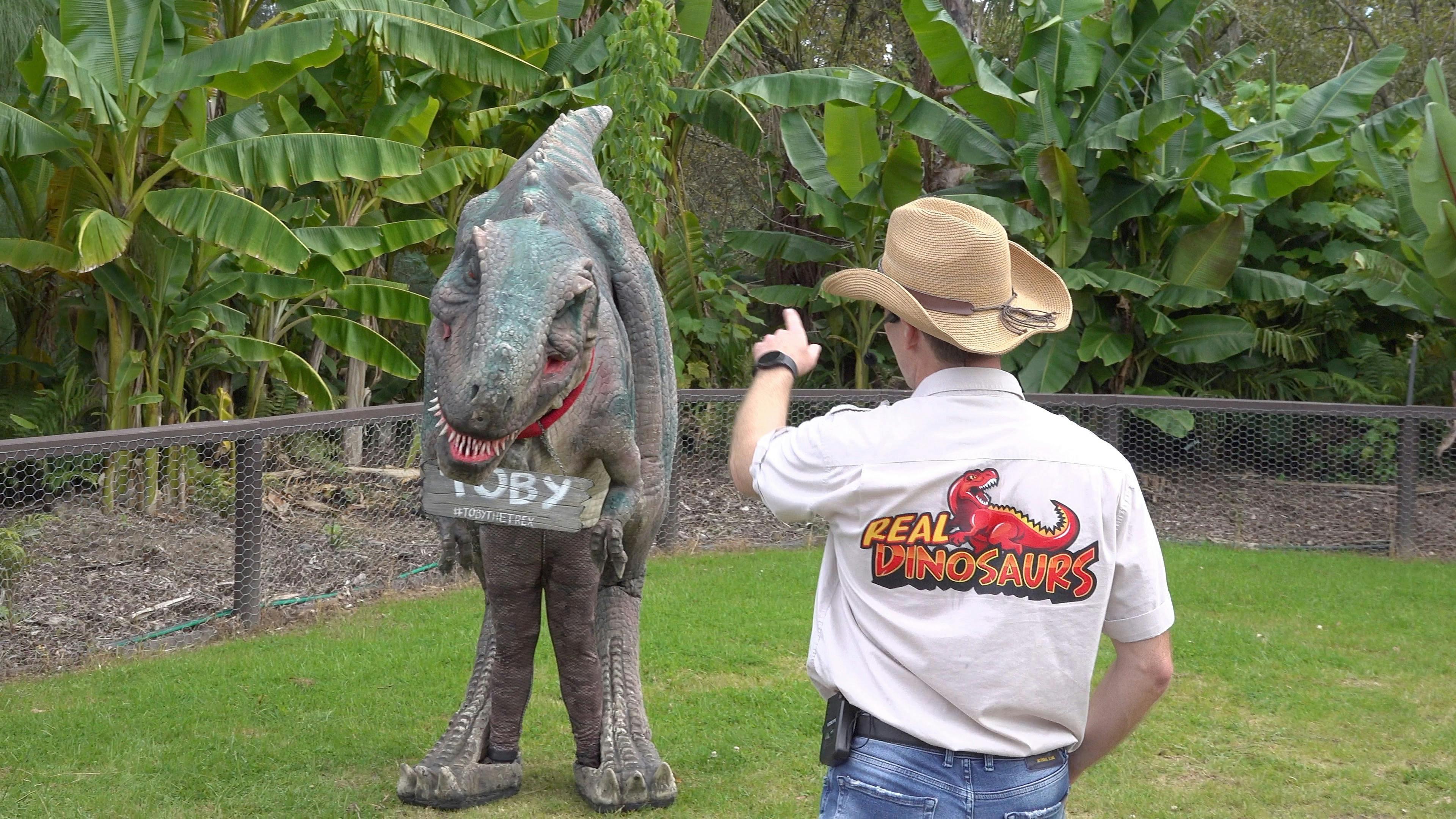 6B2799E8E54Ce5E6B7D772152985Eb7F