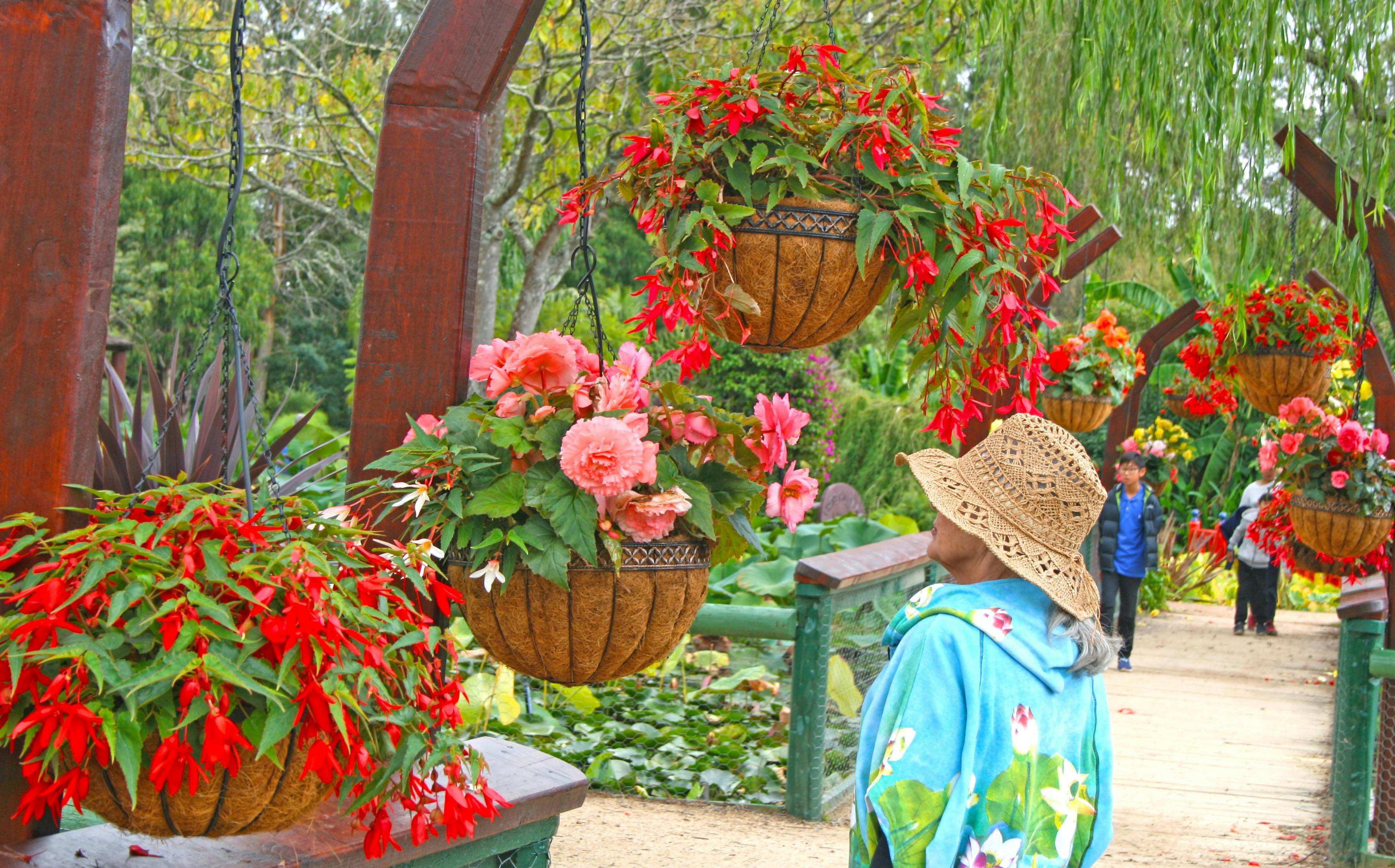 6B96Ad2906B5F4Bcdc9559E40F256757