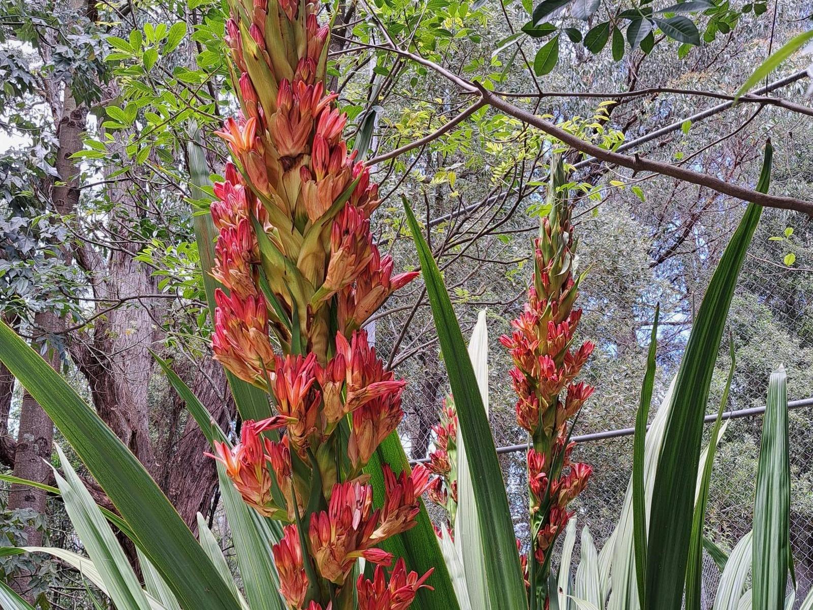 6Be158Eb71Aadc99B1039D3750A63139