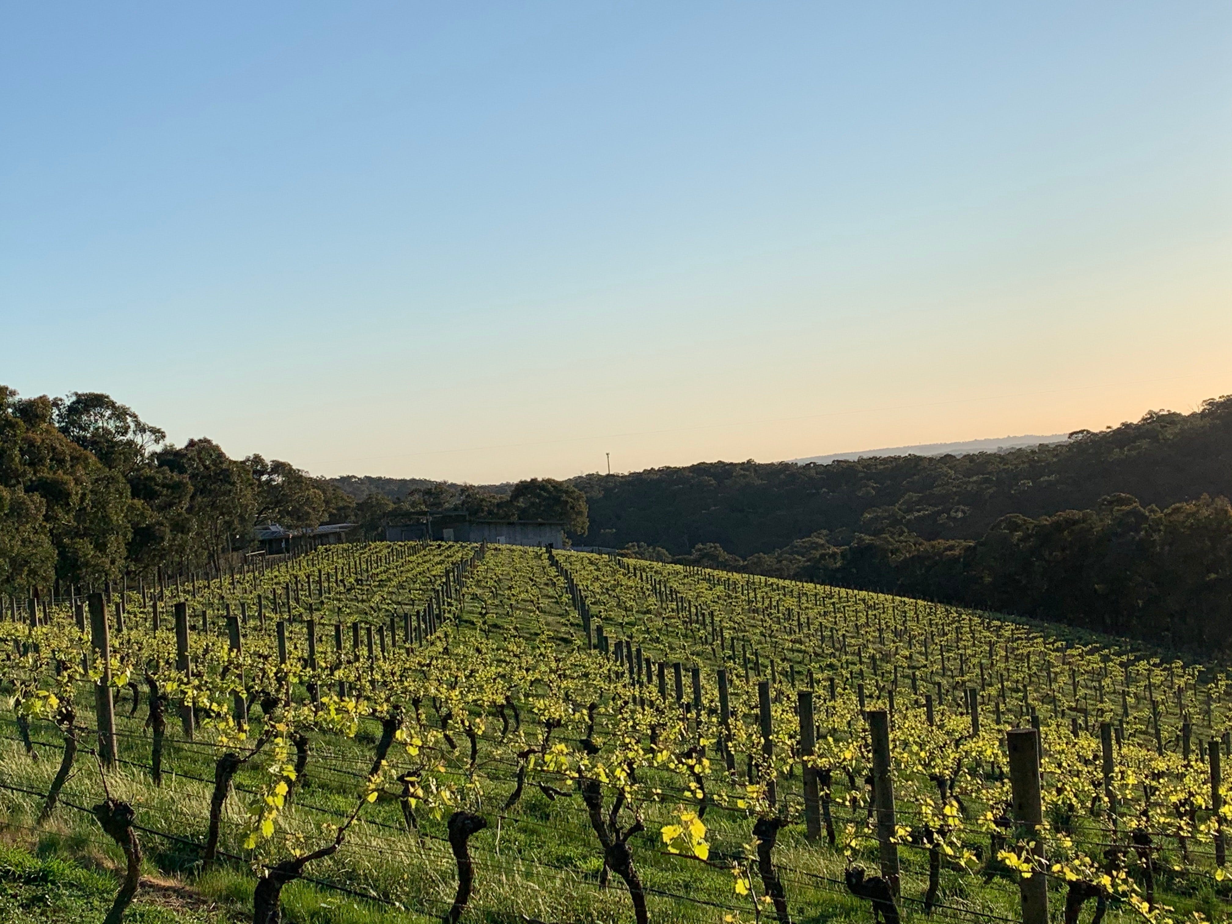 6Dc70C3488Cb88E56Ca28Fead2A6B090