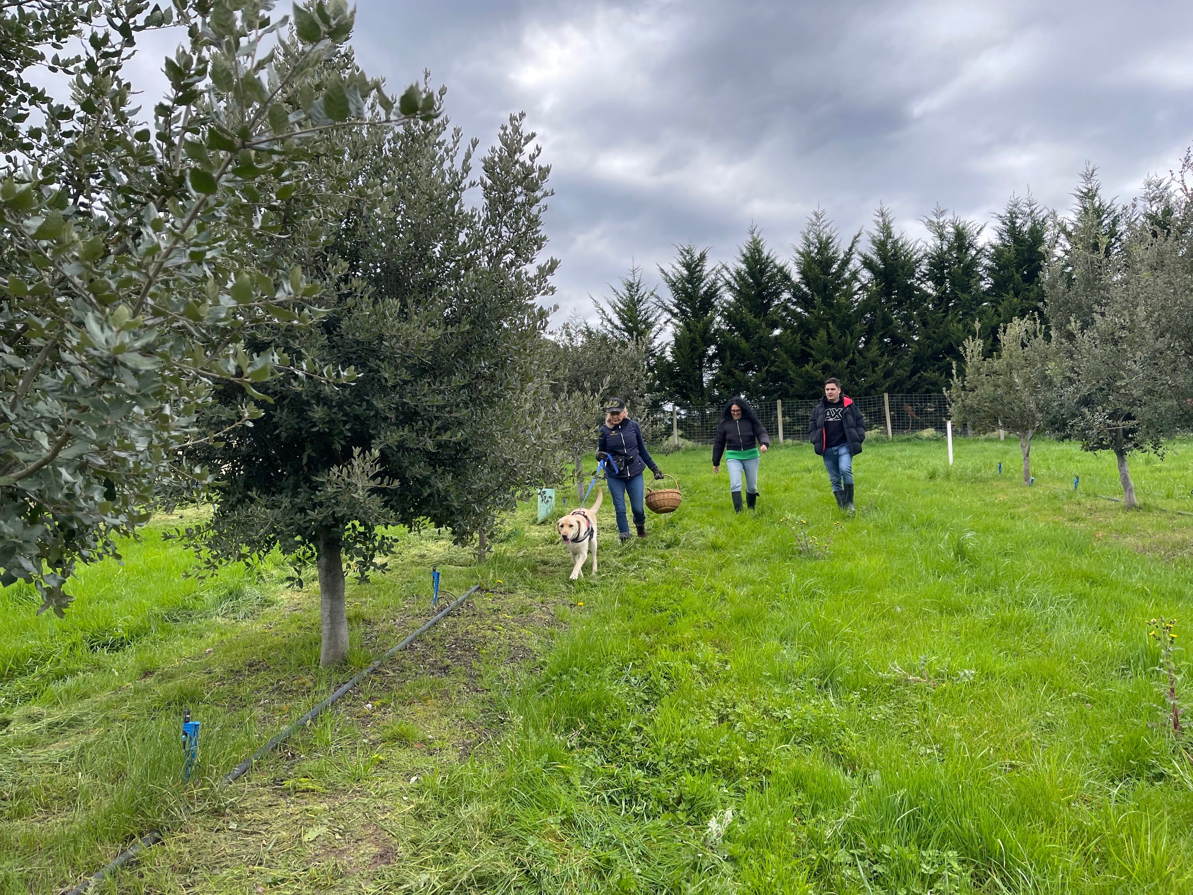 6E05A9B4Fe3C6A19470536850E740B43