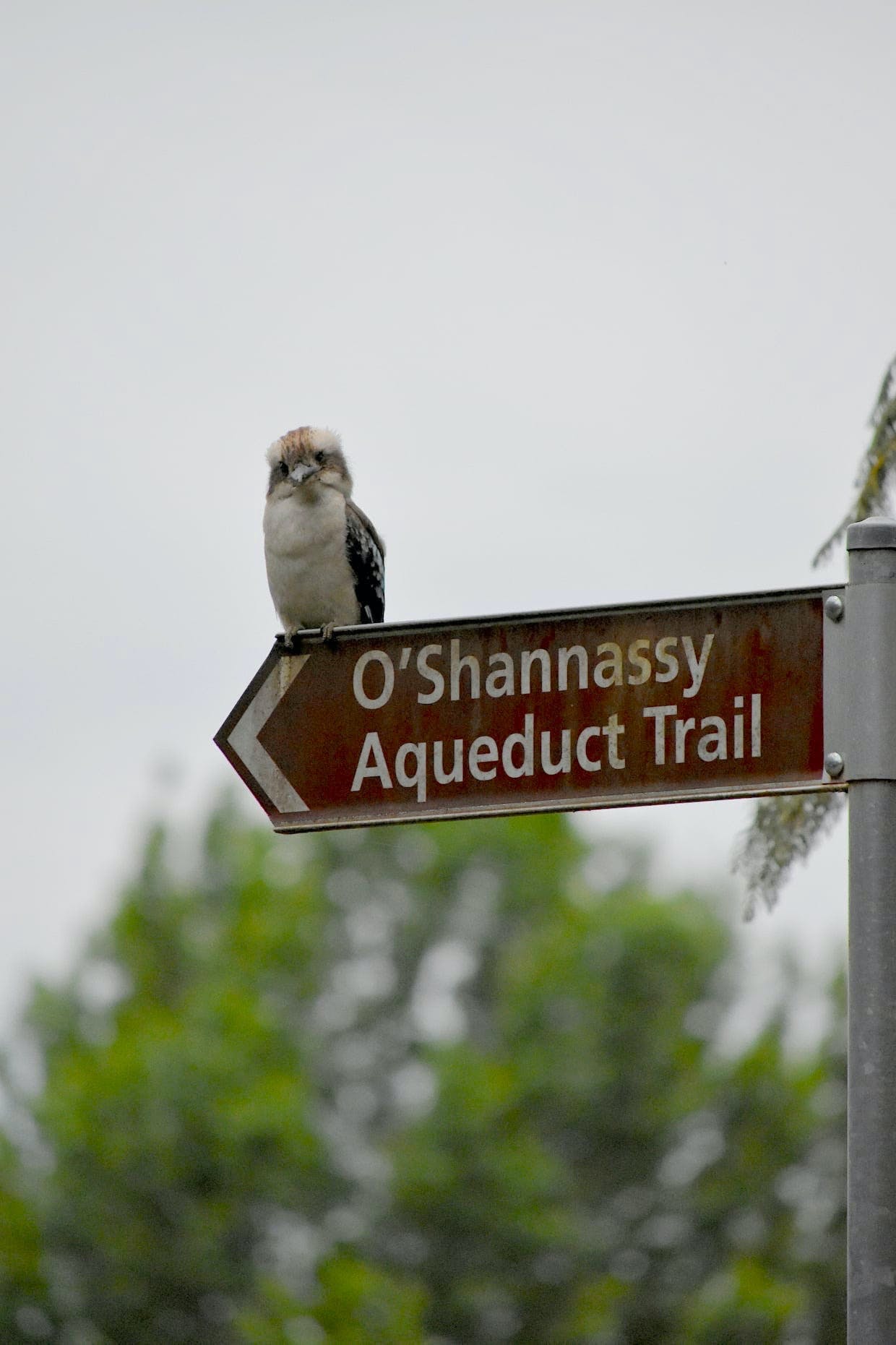 6E15D90D0Fb2836448153A7785Cb741E