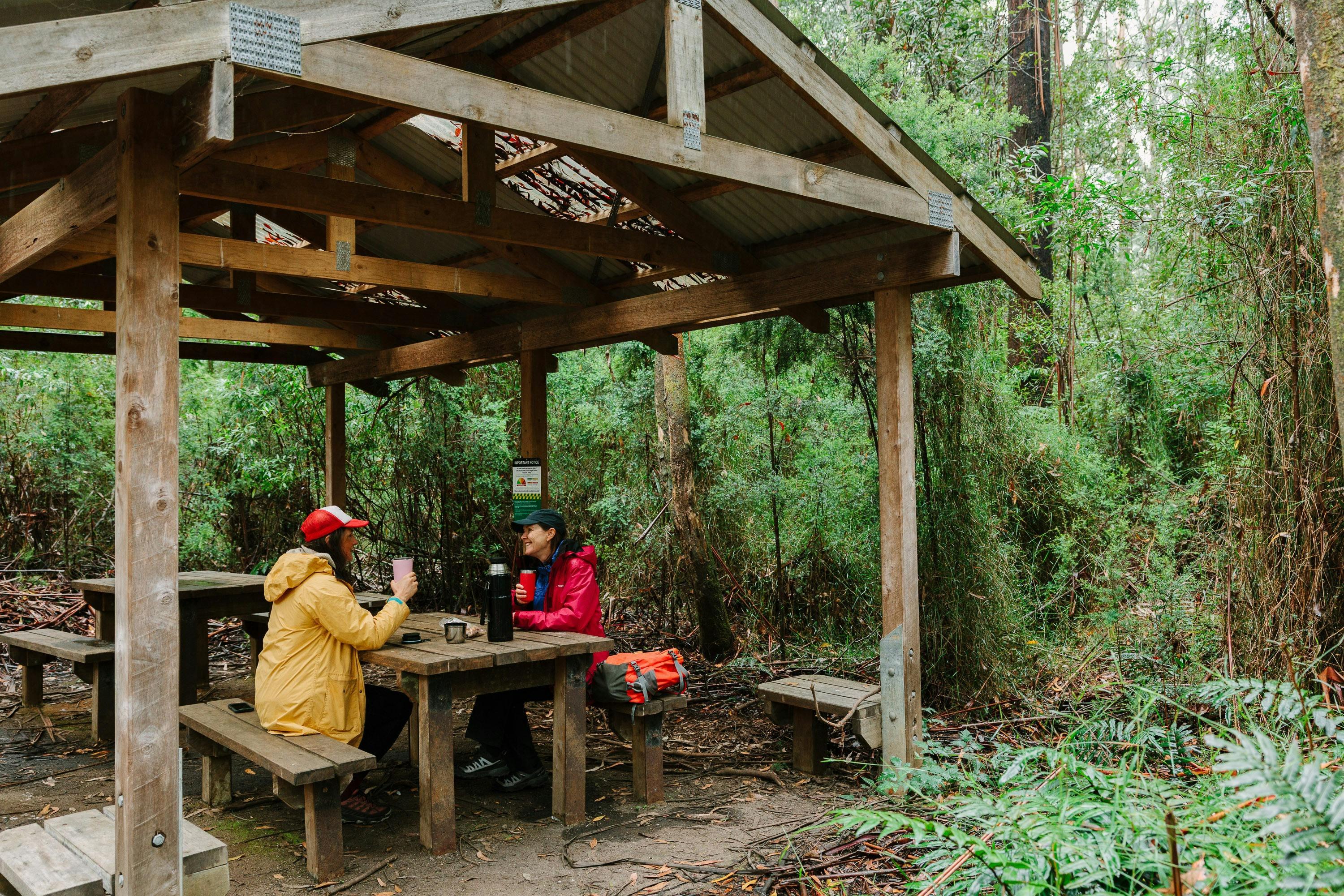 6E586A2B1Fc99D3B12645A0D8A8217Ec