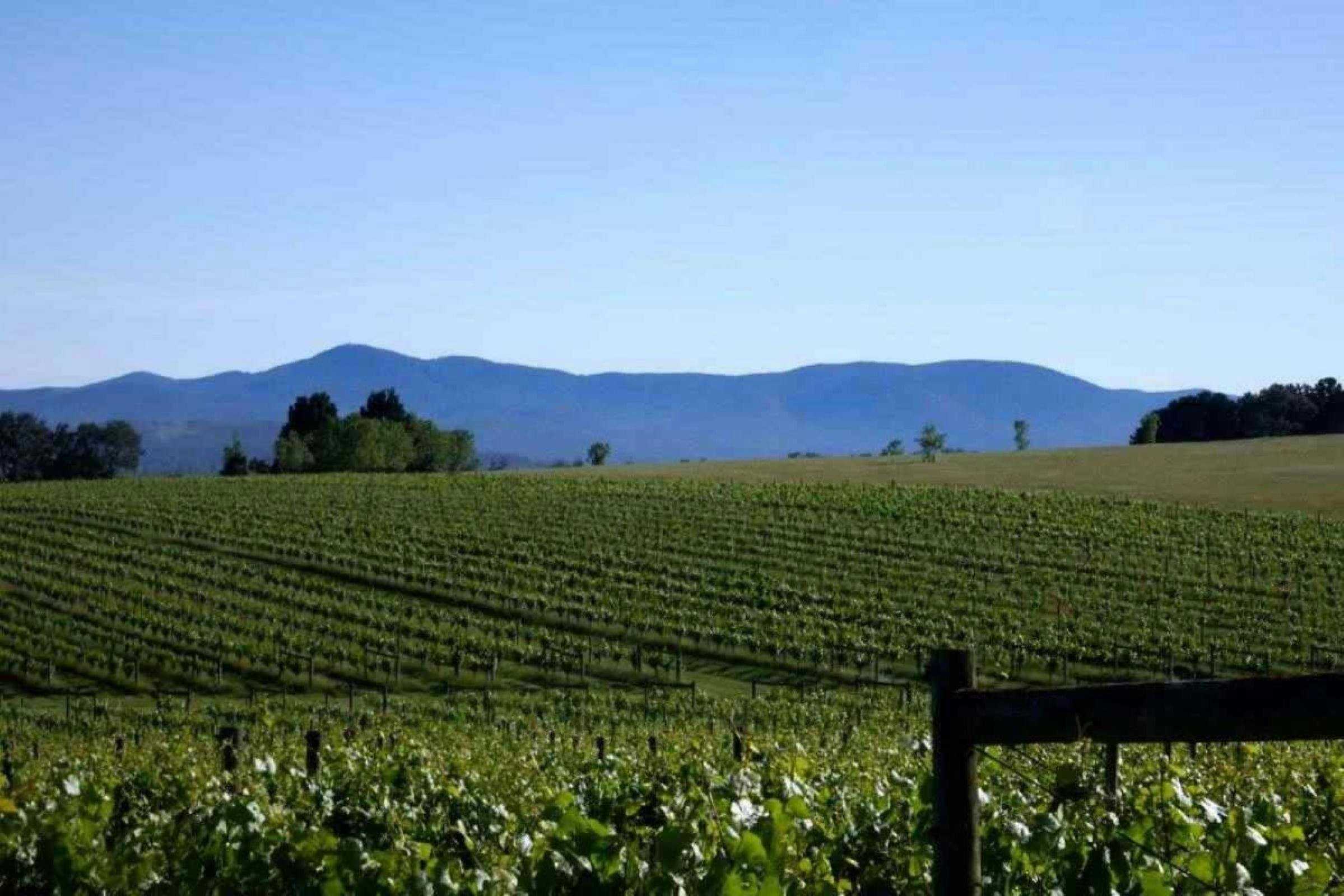 6Fbba93419A40D4Cd5C54F6D03332C50