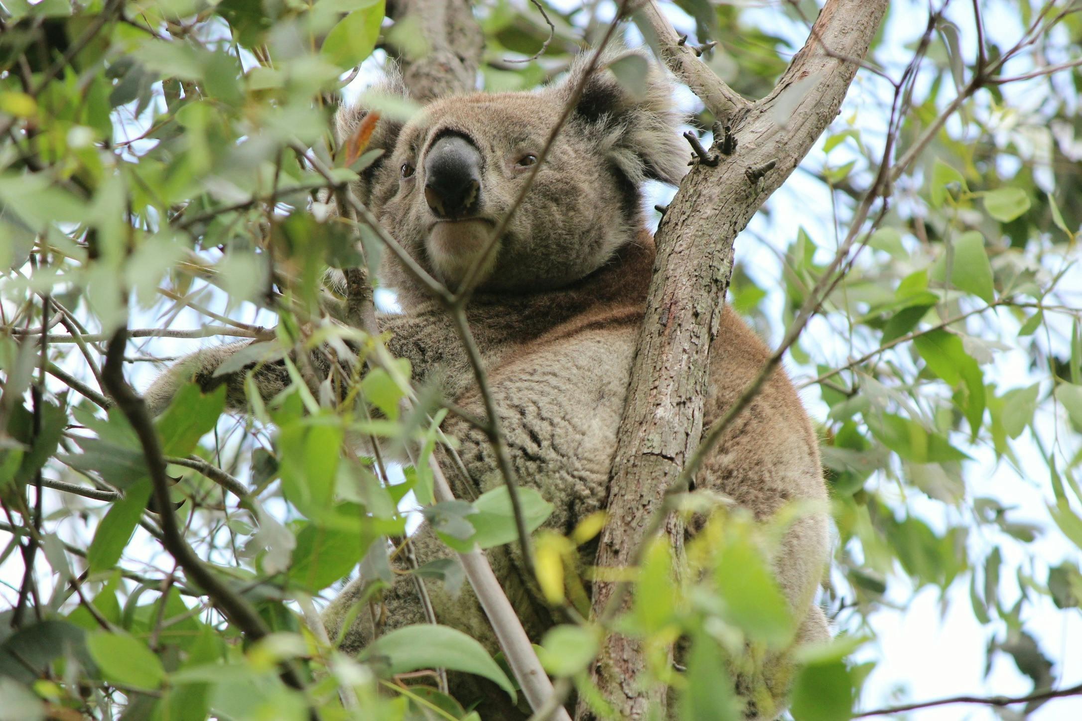 6Fe817171279B7A724530Ca62E8736Bc