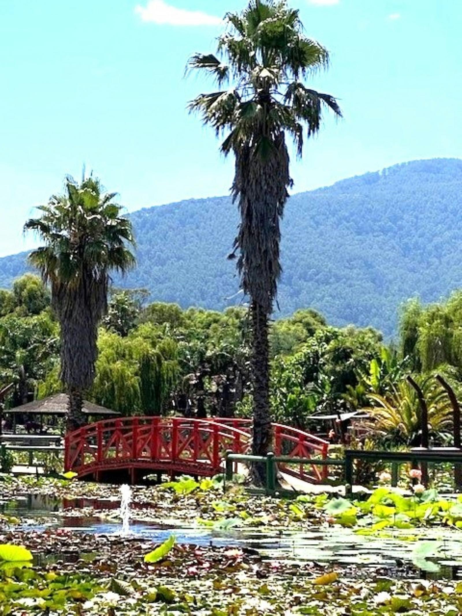 70Cd238B7087Dea0Fa4116B34Ccfe335