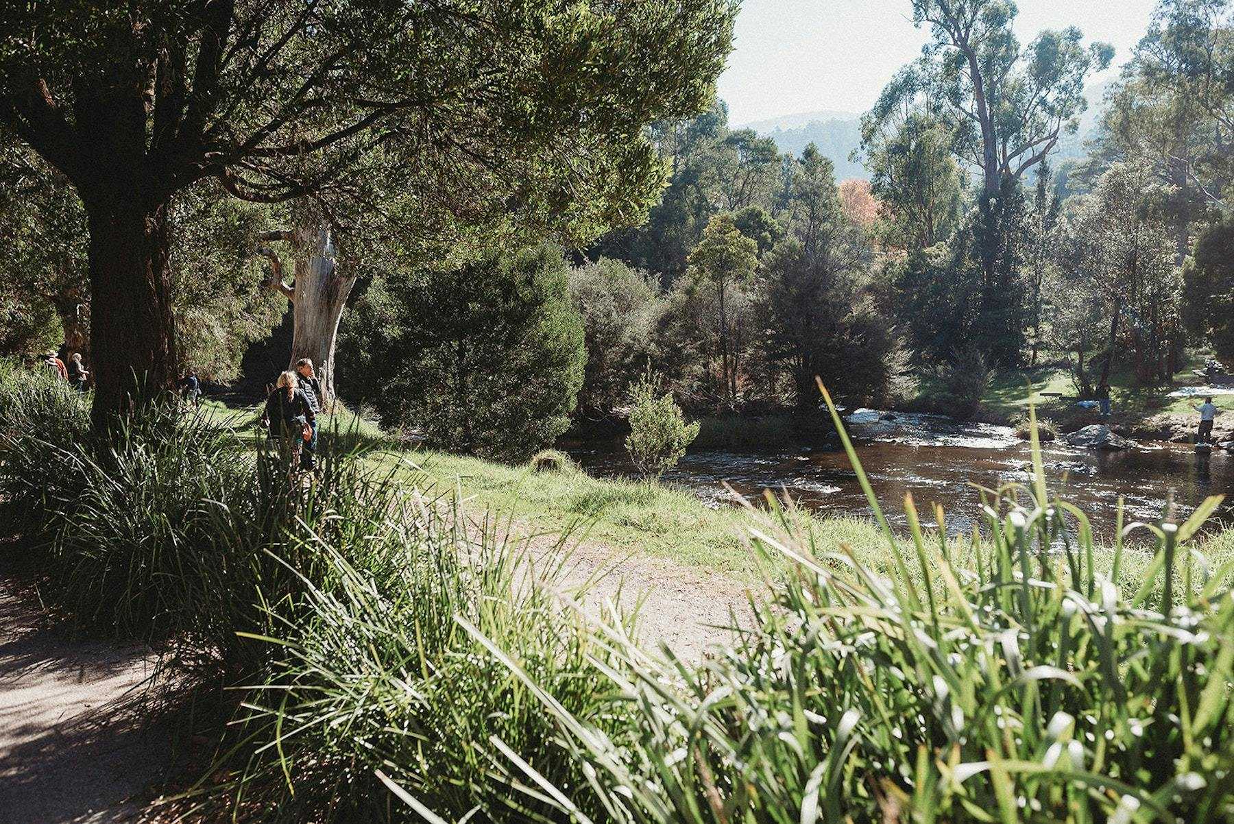 714Cf6E73508B4Addfa3B8C6E971Ebbe