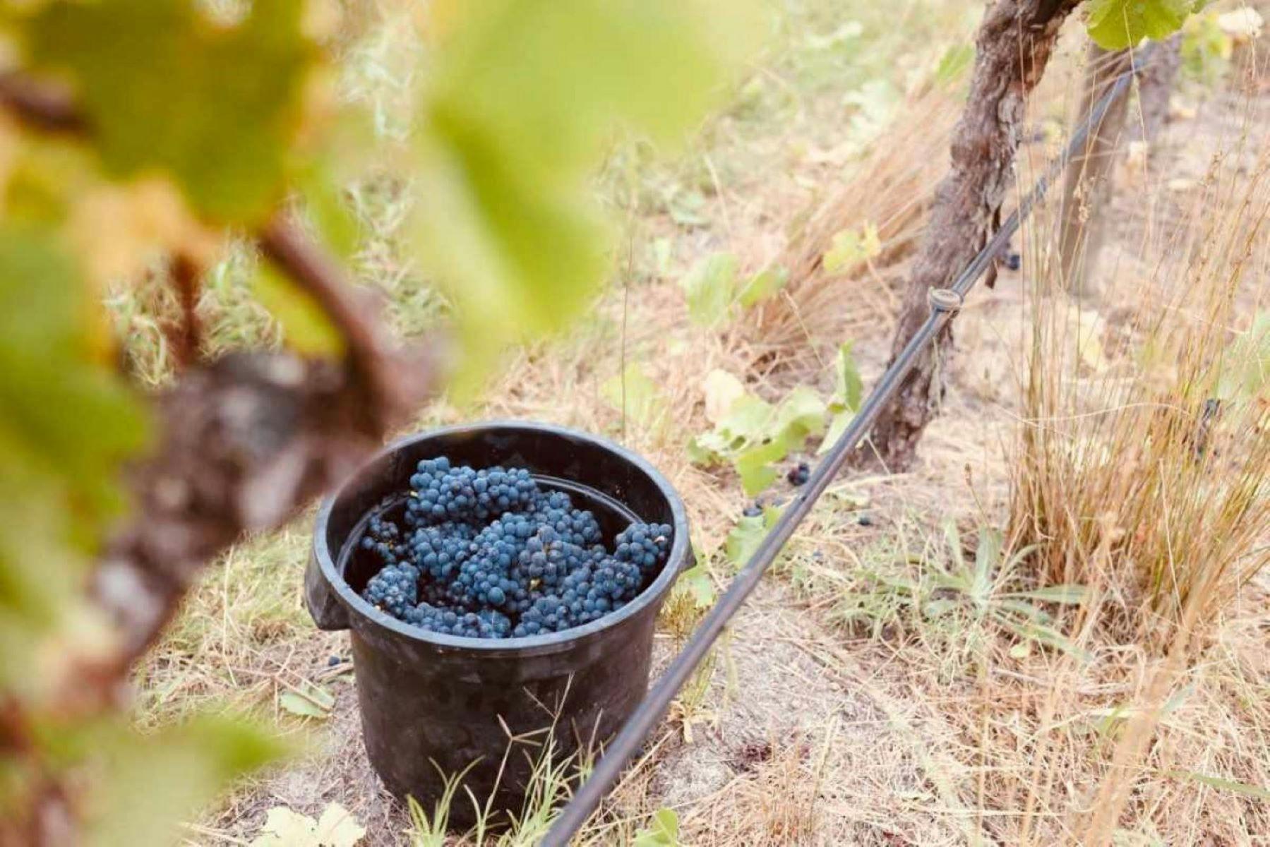 72B1329A9B9584Ba6808D077989C6B3C