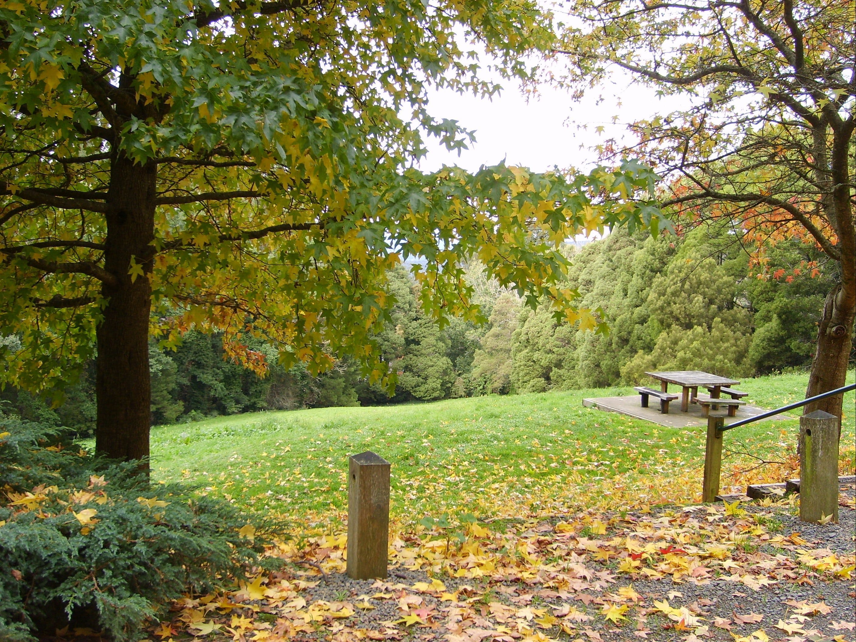 73F404456E0595B84F4C445C5A237C9C