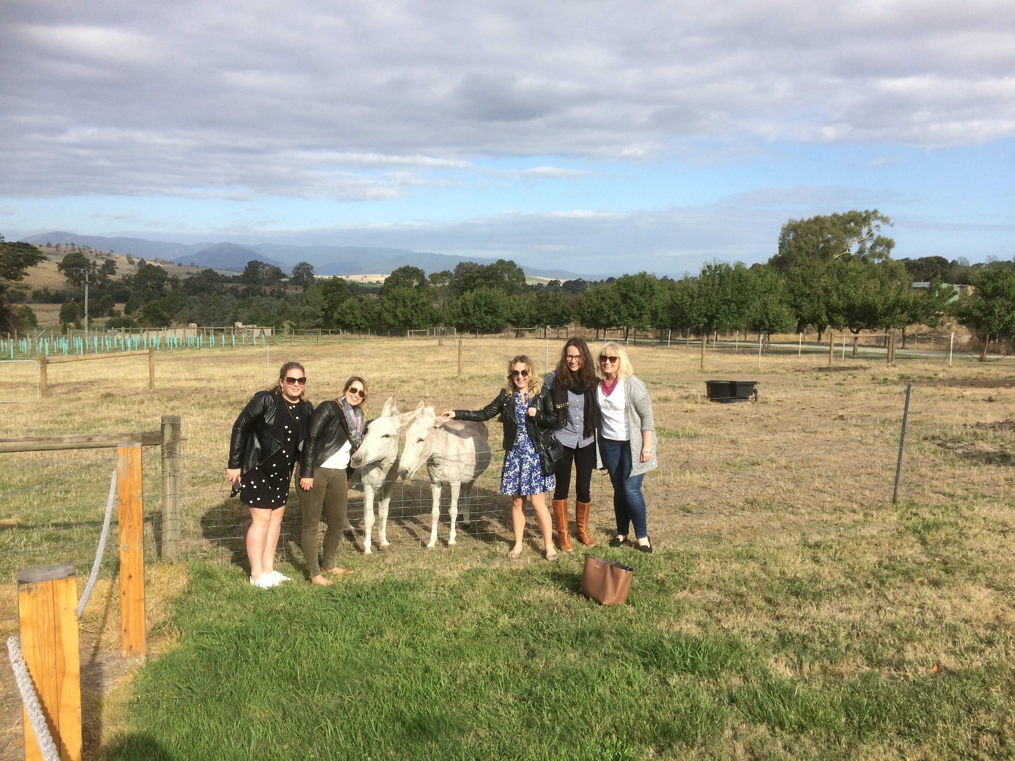 743A0Ee6812344F1E5D1Bd4F9C8Ac9C9