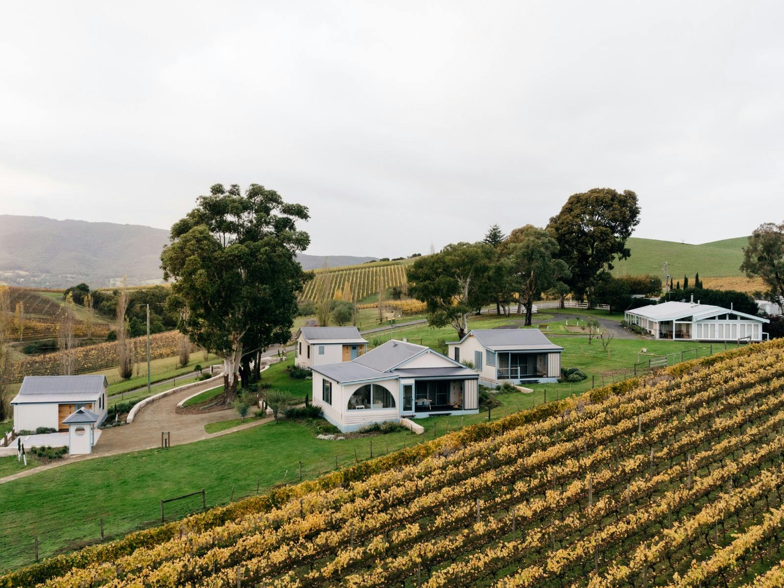 7704F31010B72D404Dbd670220A61Bfa