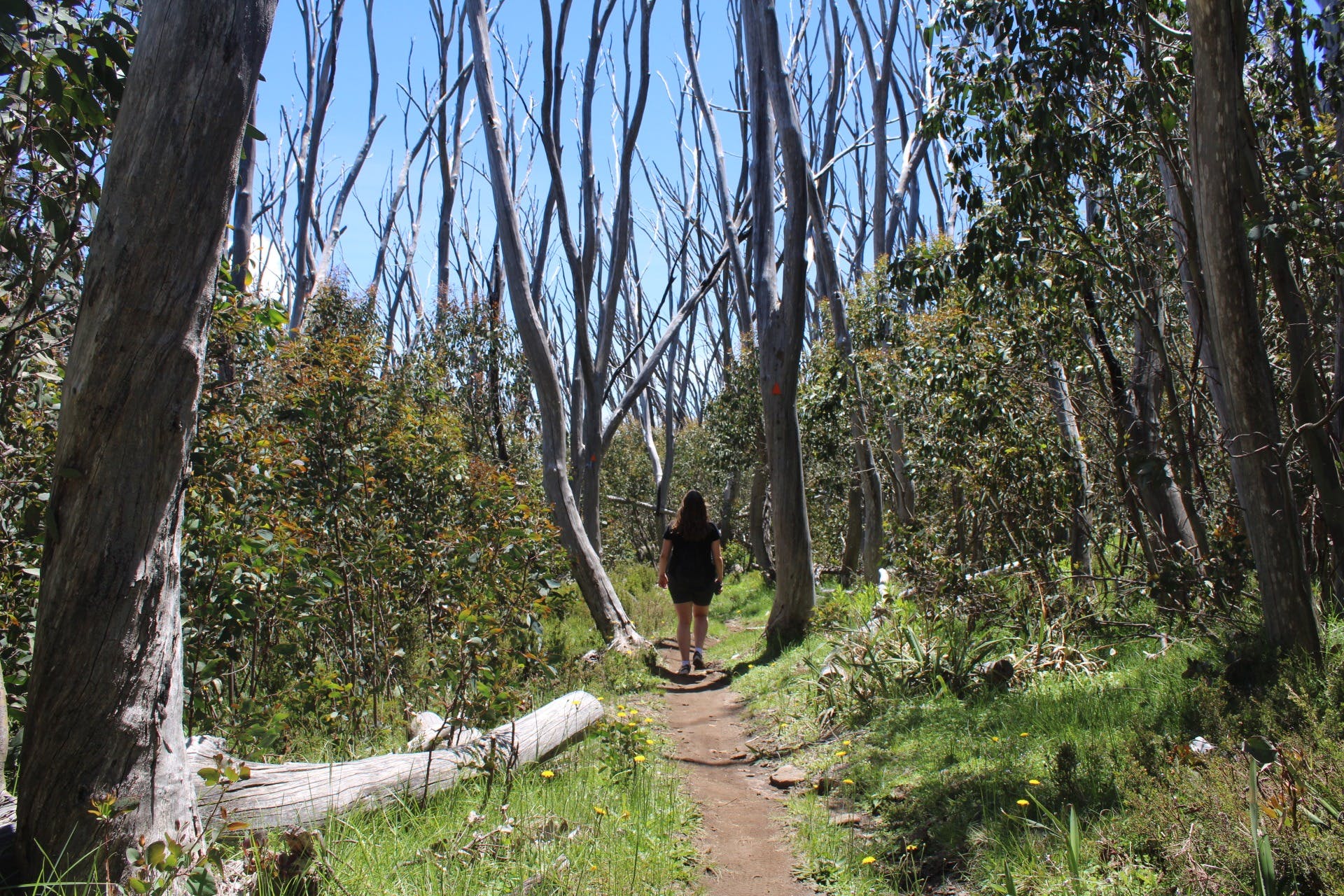 7875751019F3B1Cab0F7B74Fffb4710A