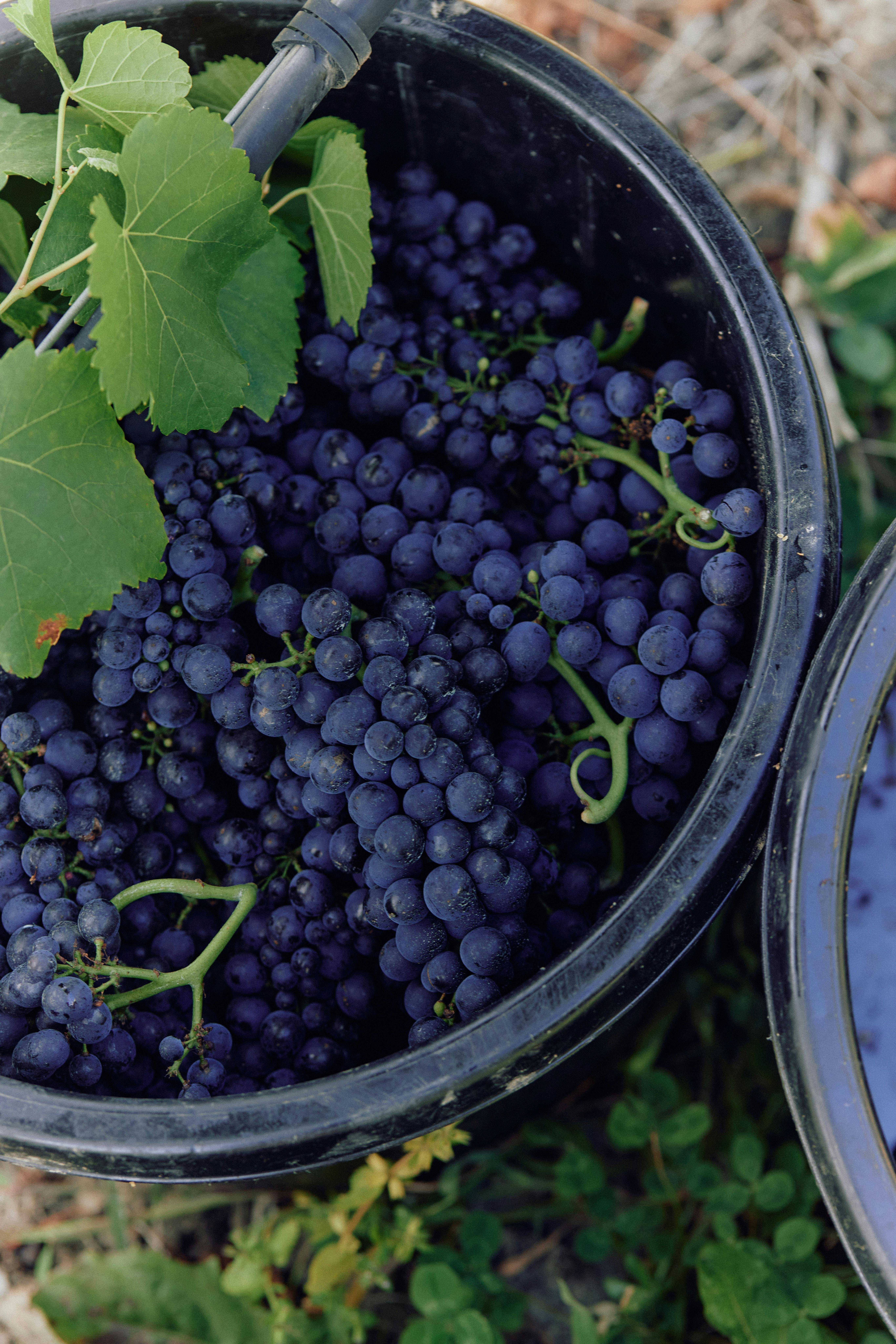 7B84191Cd50E6A292F654B6F879A1A7A