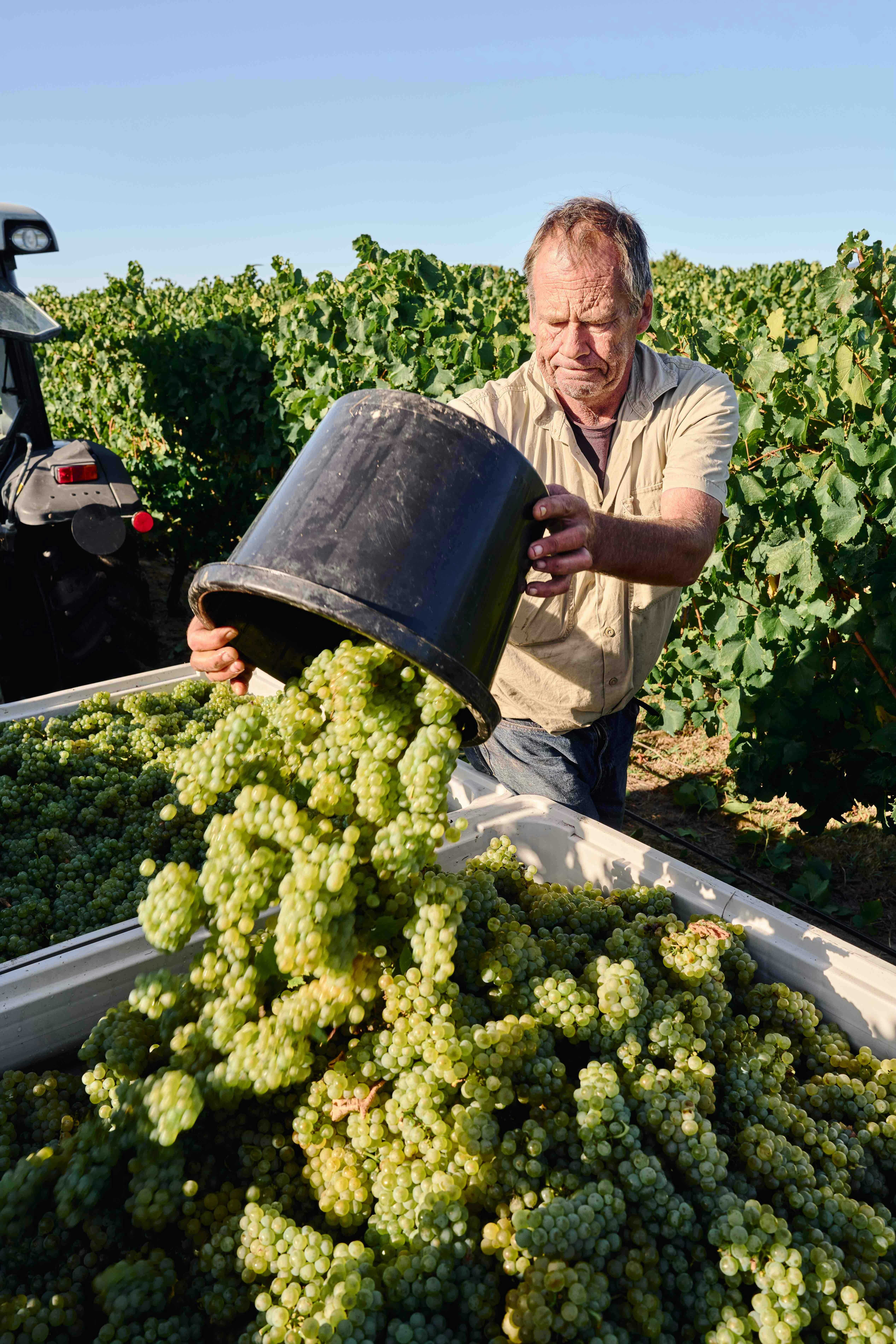 7D683A2B5D7E1Ea27A01Cc33Abdff649