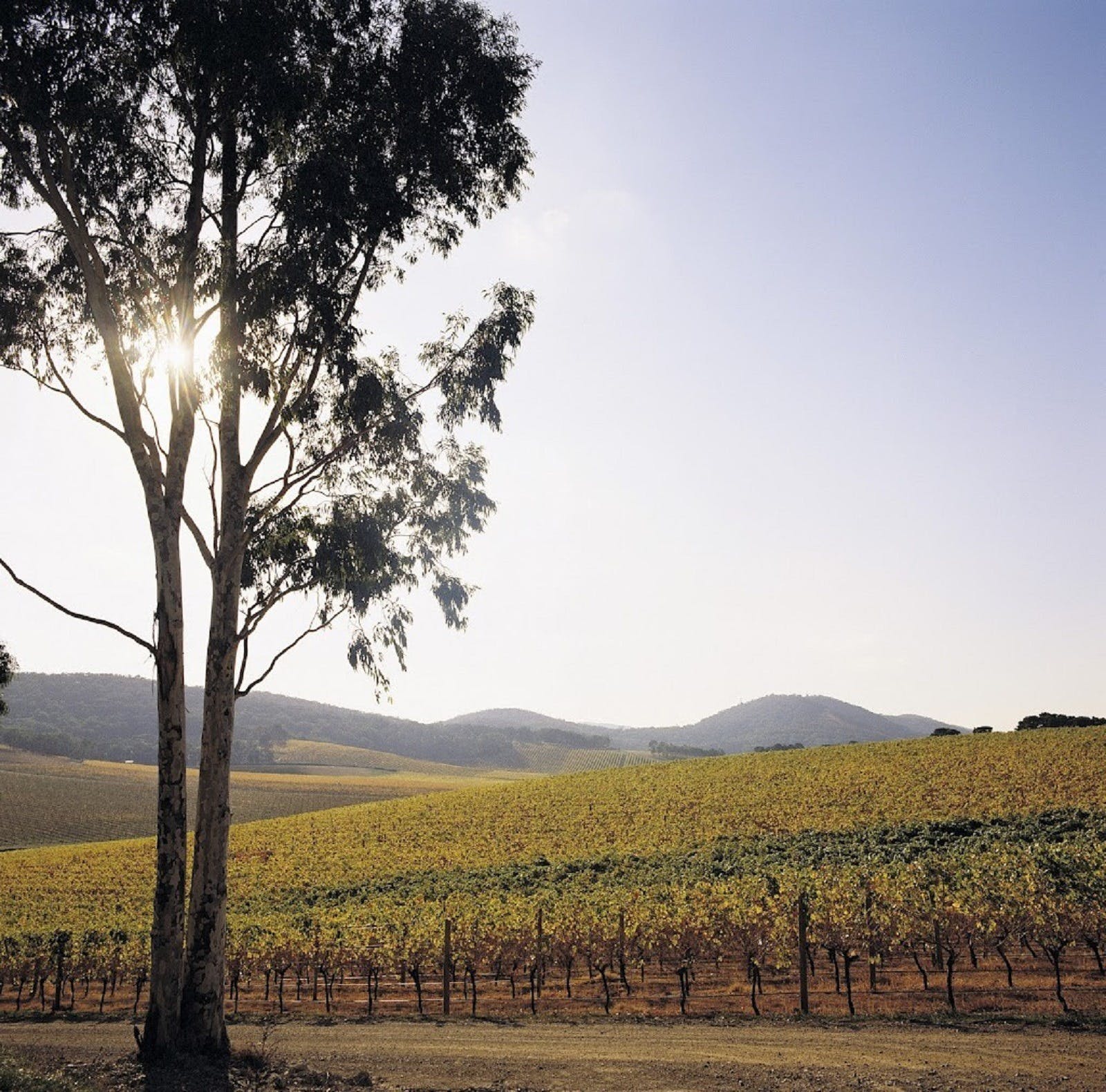 7D8C0F41C6D4Be8Cd61754B327A4924B