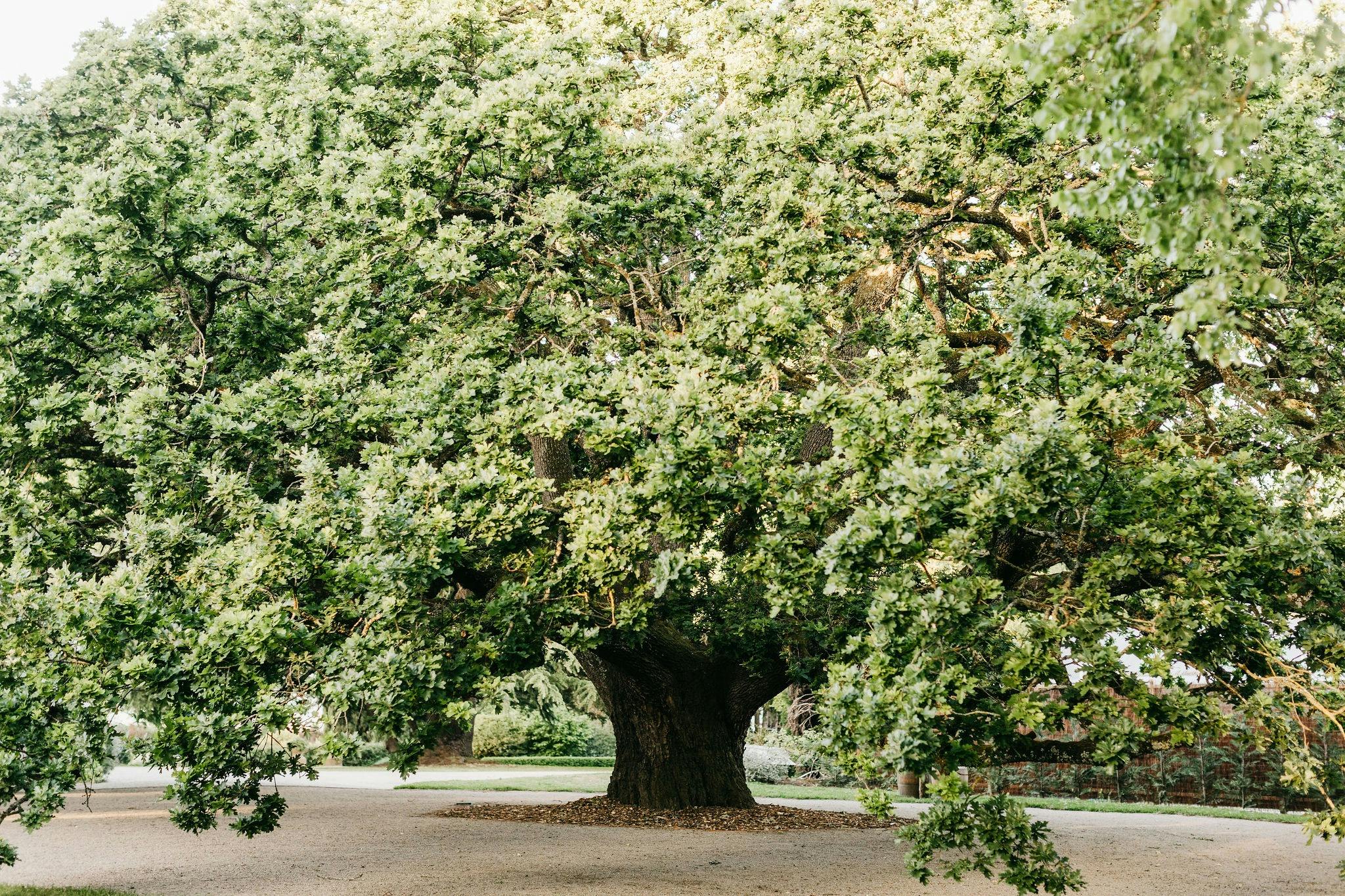 7E6D4Dacf6Fbcec7B6C5B8060404E13B