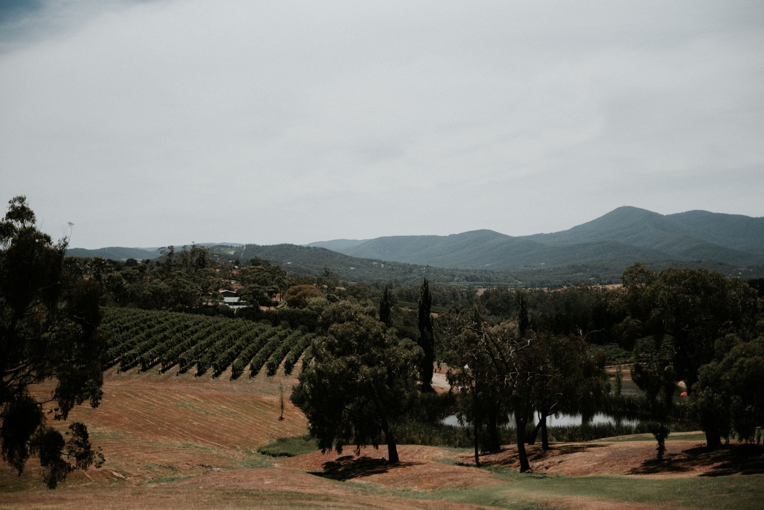 7Ff438B1395A225Cc2B788F0Be82B690