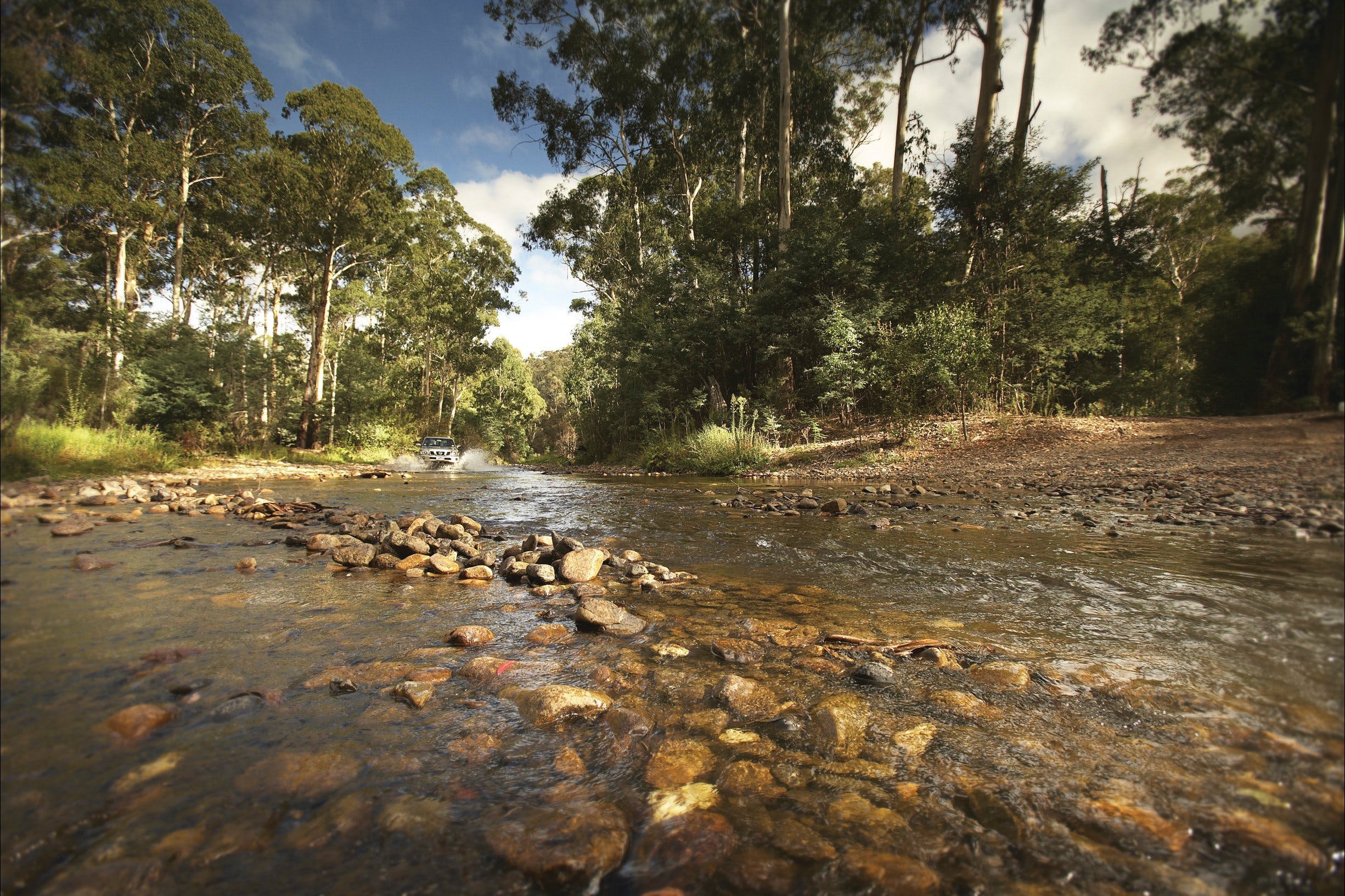 7Fff4F3E3E0Fa604D3B2004166Ea5B24