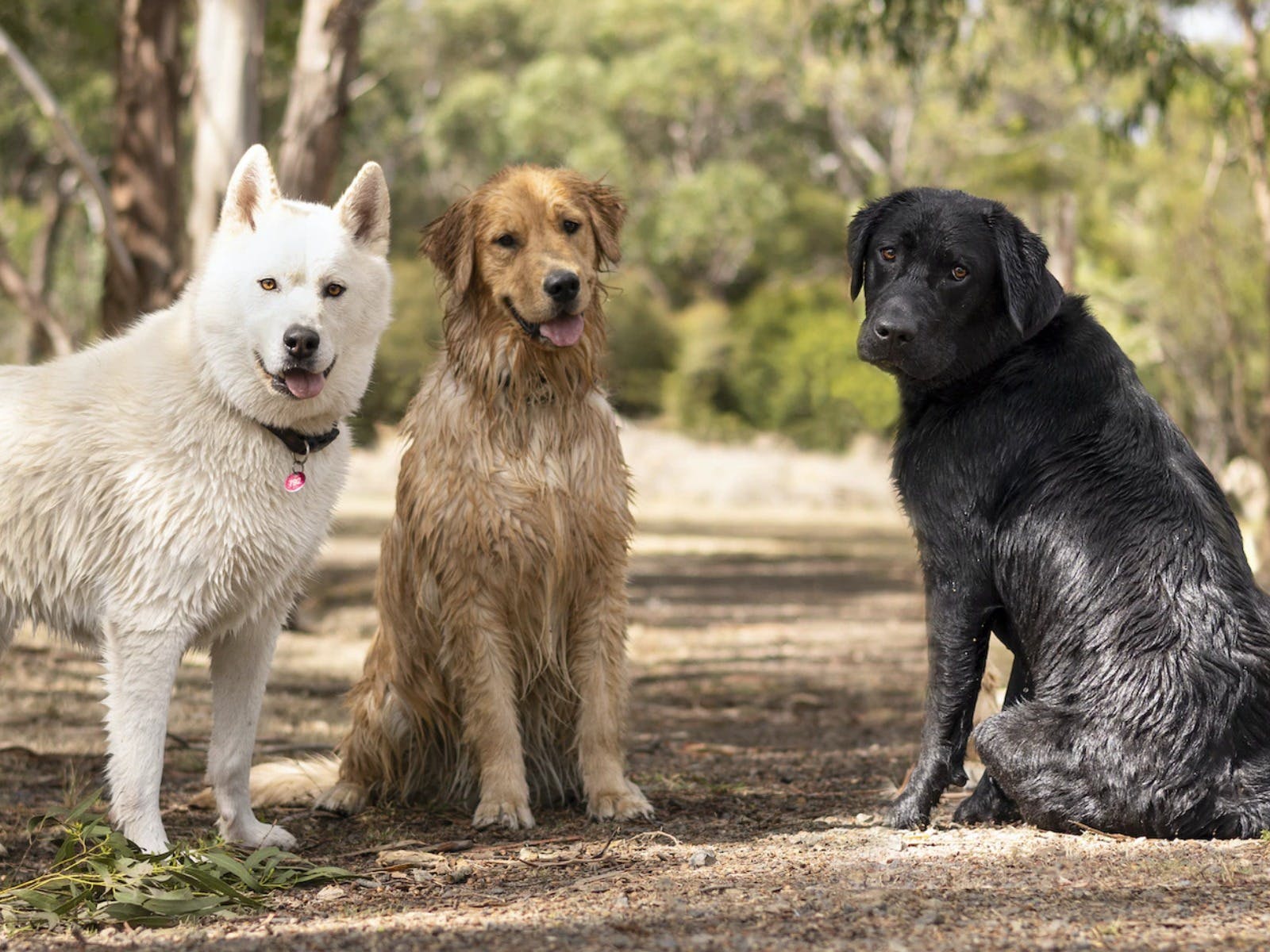 816Bf741Ab87D67D54842C0299Ca6D8C